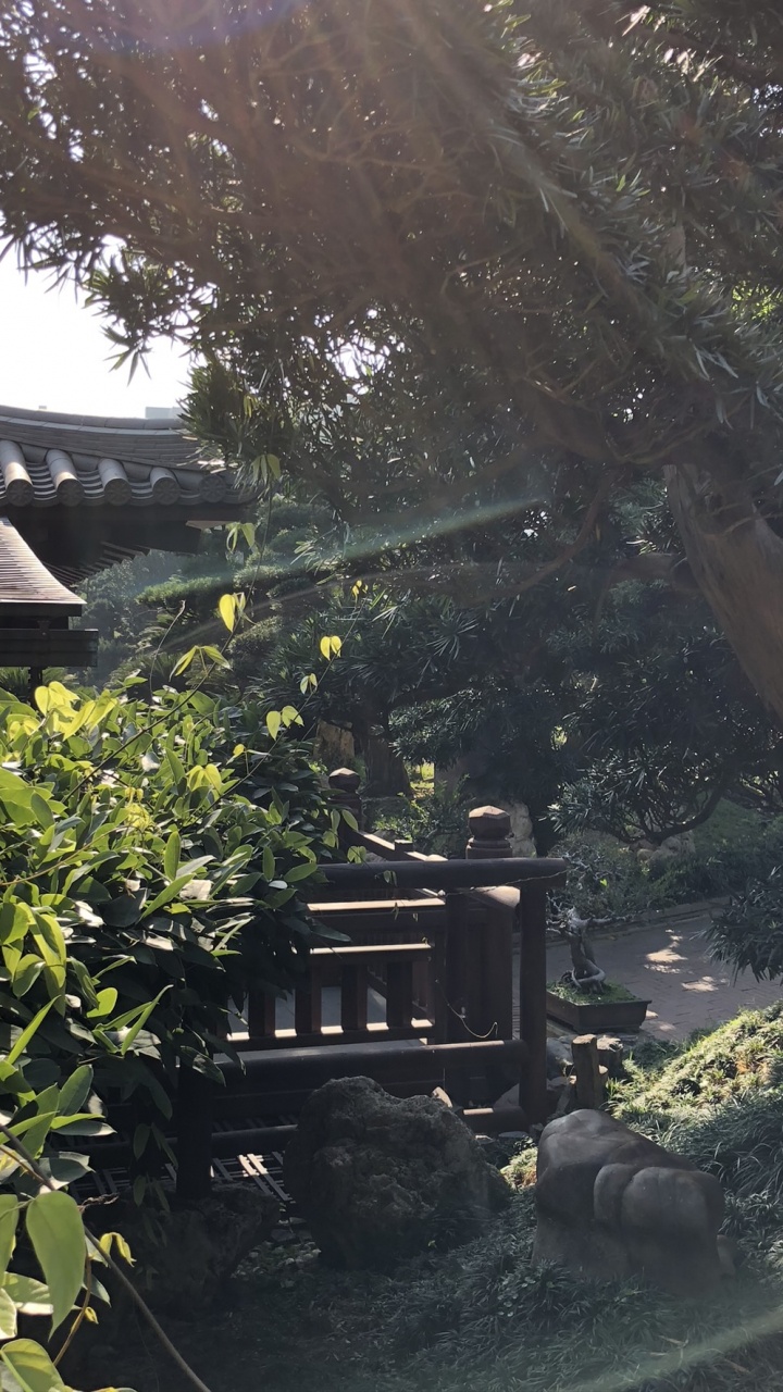 Tree, Vegetation, Leaf, Garden, Roof. Wallpaper in 720x1280 Resolution