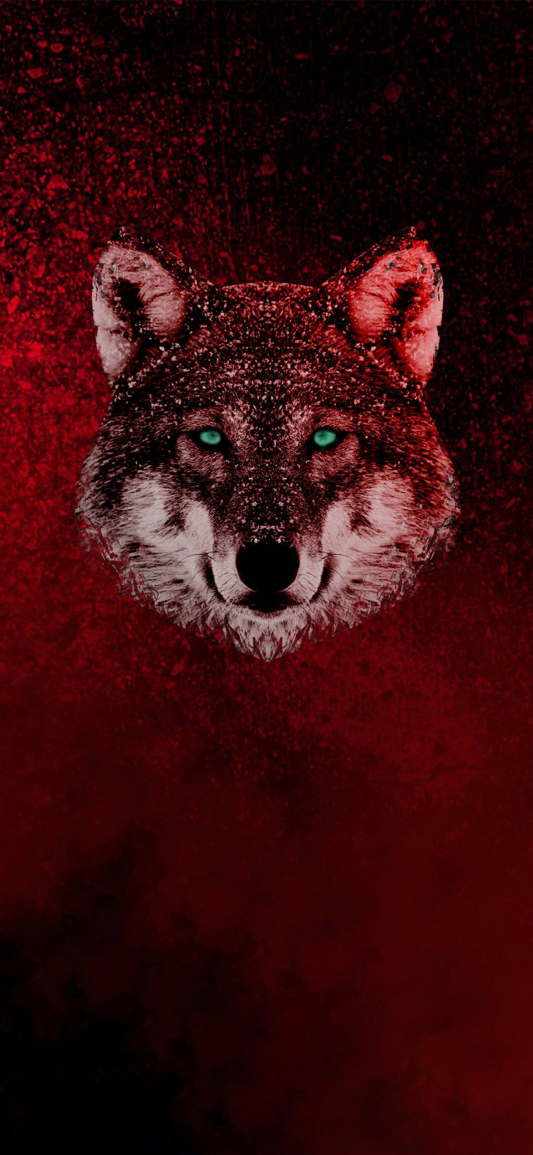 anime red wolf wallpaper