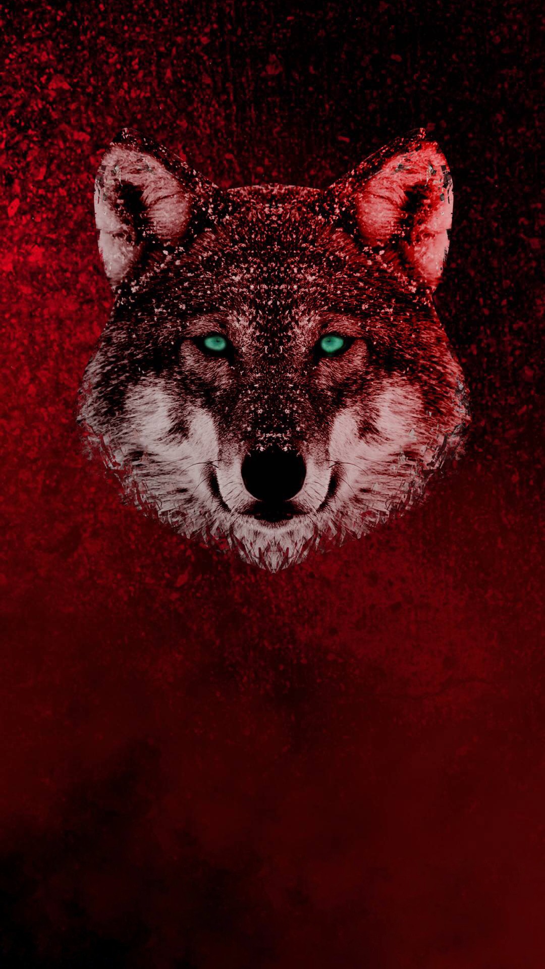 Obscurité, TIC Tac, Android, Créateur de Logo de Couverture en Surbrillance, Carnivores. Wallpaper in 1080x1920 Resolution