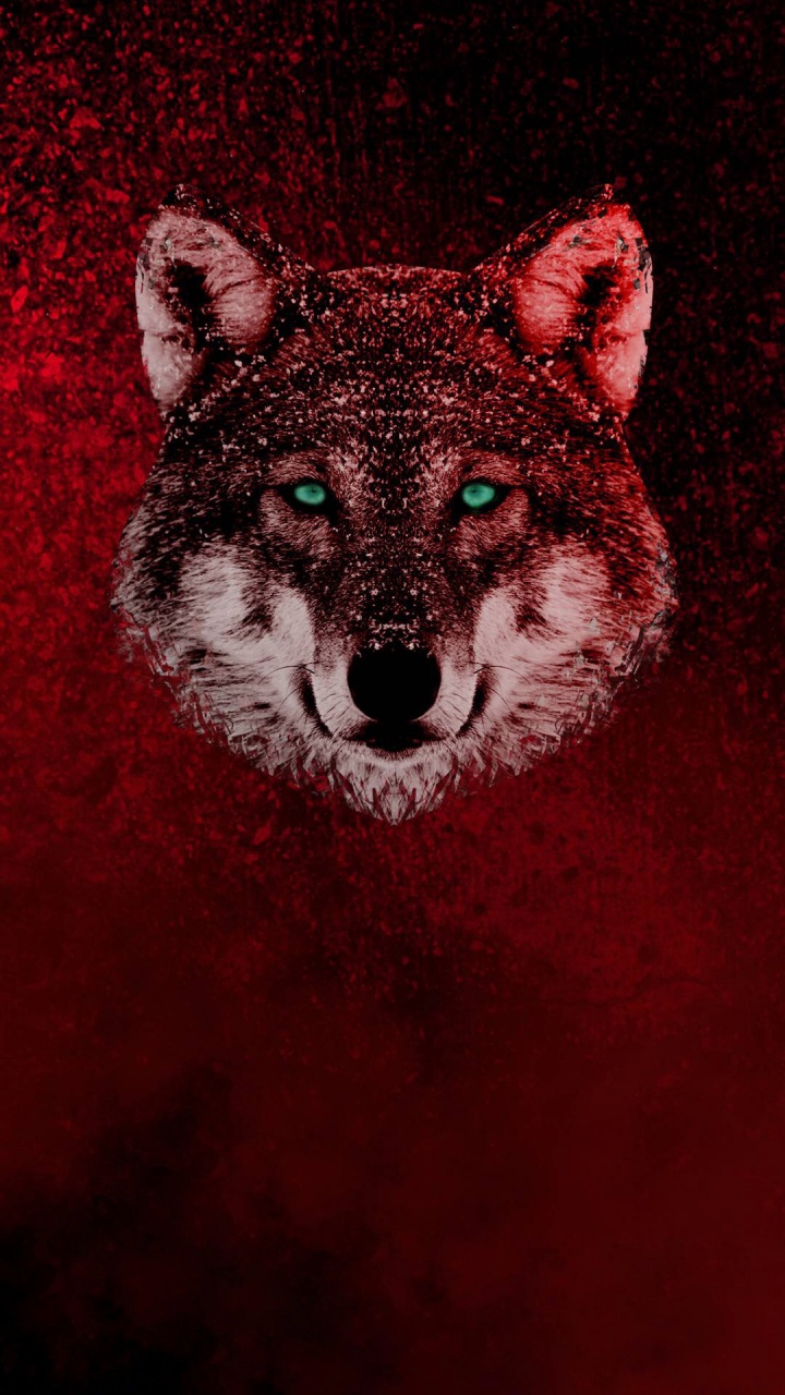 Tick Tack, Android, Highlight-Cover-Logo-Hersteller, Carnivore, Backenbart. Wallpaper in 720x1280 Resolution