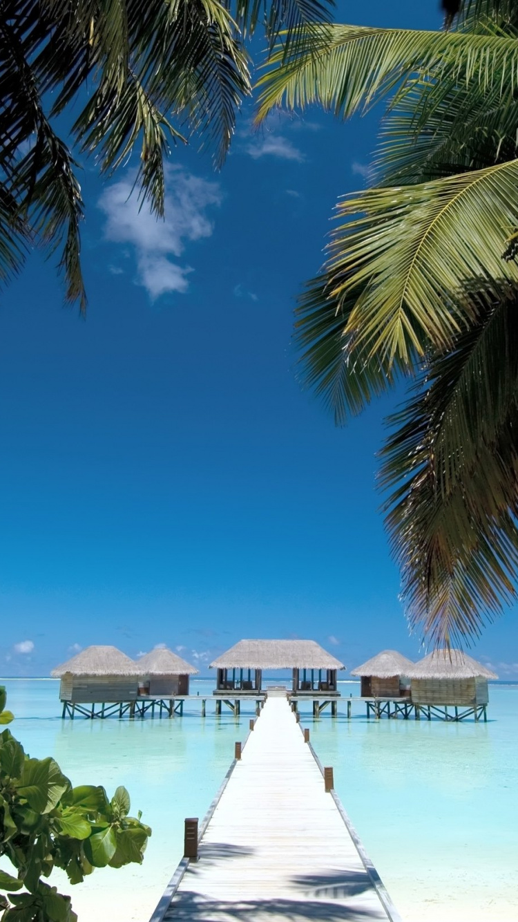 Quai en Bois Blanc Sur la Plage Pendant la Journée. Wallpaper in 750x1334 Resolution