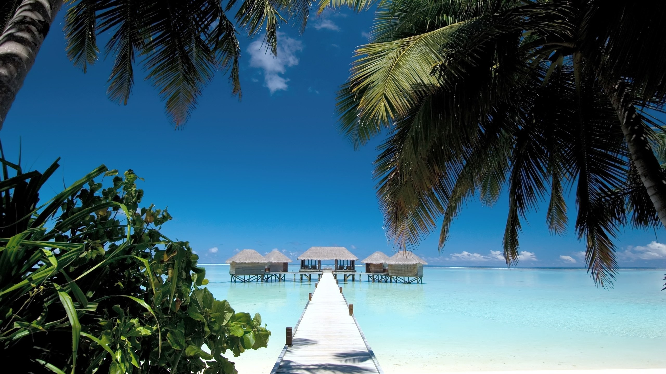 White Wooden Dock on Beach During Daytime. Wallpaper in 2560x1440 Resolution