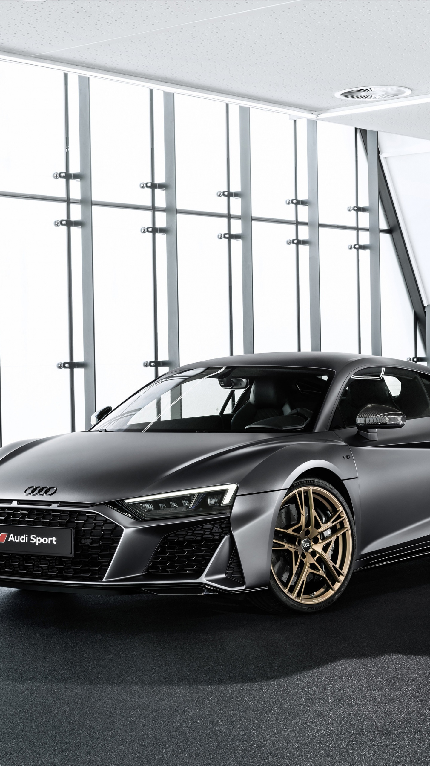 2020年奥迪R8, 奥迪, 奥迪R8十年, V10引擎, 政变 壁纸 1440x2560 允许