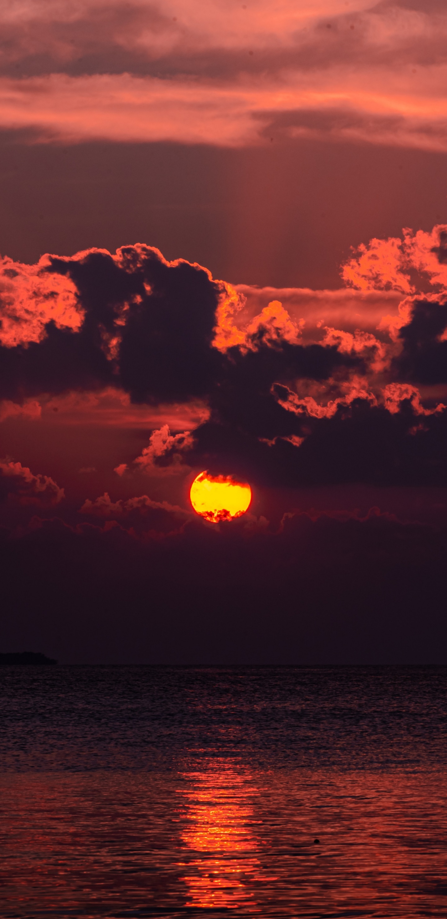 Atardecer Atardecer, Puesta, Atardecer, Ambiente, Agua. Wallpaper in 1440x2960 Resolution