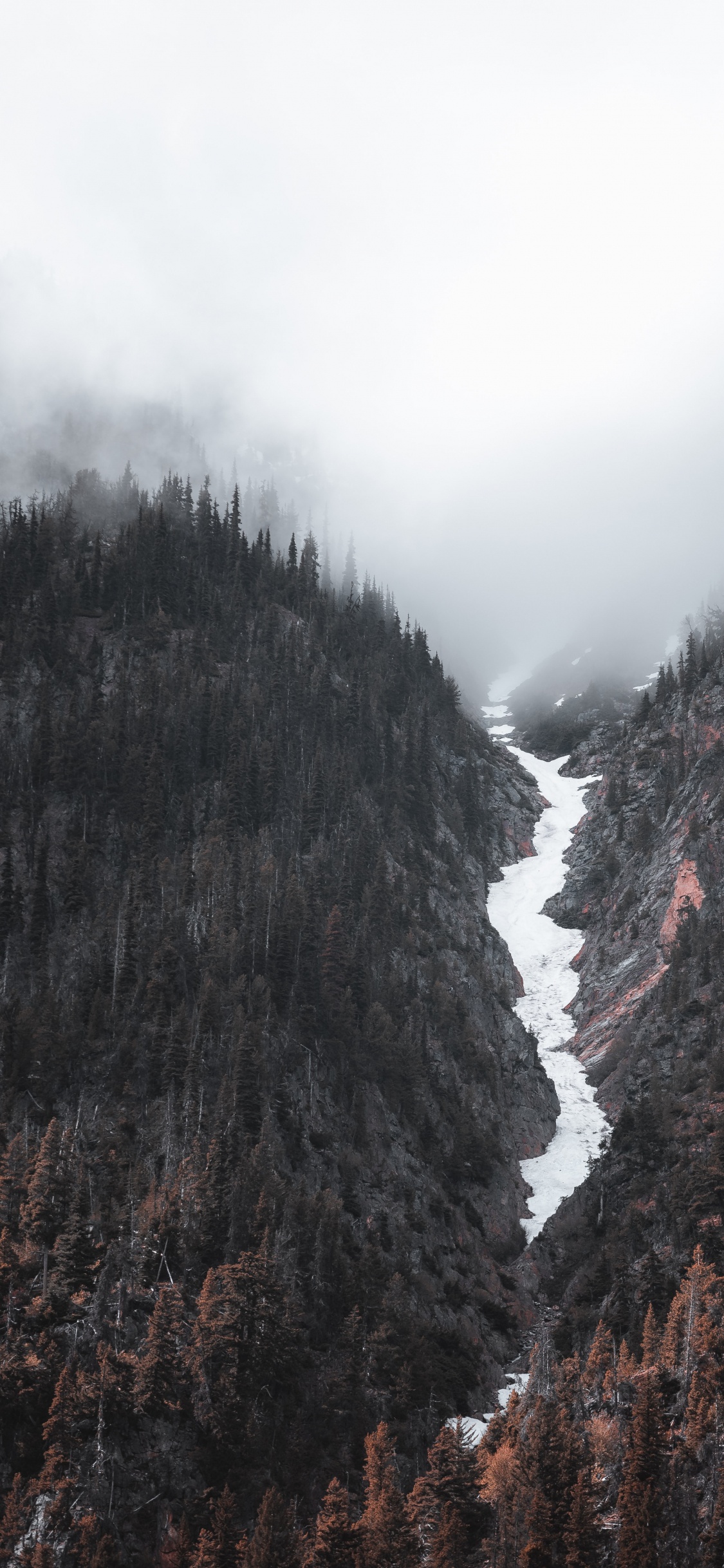 Banff, Pente, Paysage Naturel, Highland, Terrain. Wallpaper in 1125x2436 Resolution