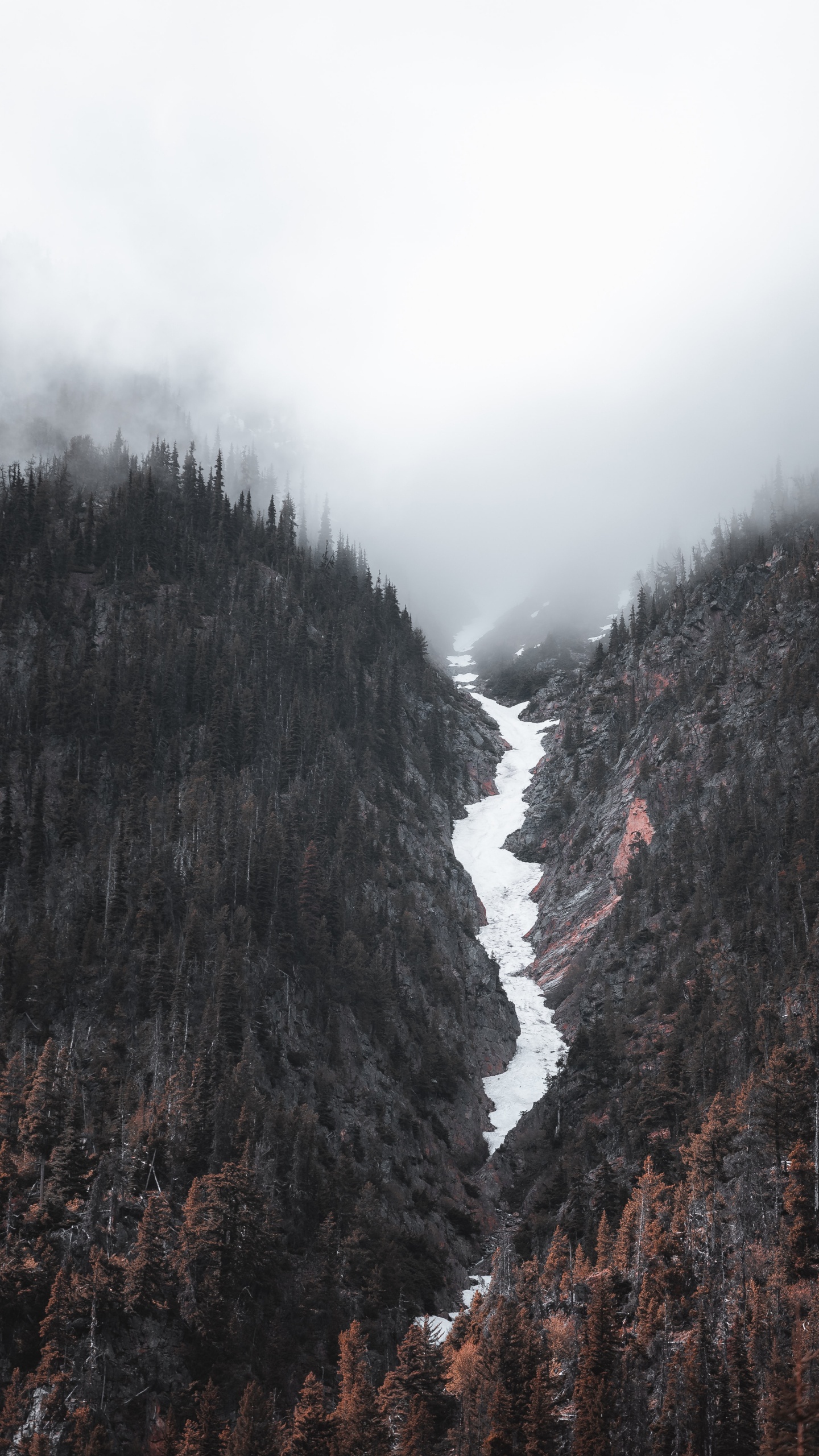 Wilderness, Banff, Cloud, Mountain, Slope. Wallpaper in 1440x2560 Resolution