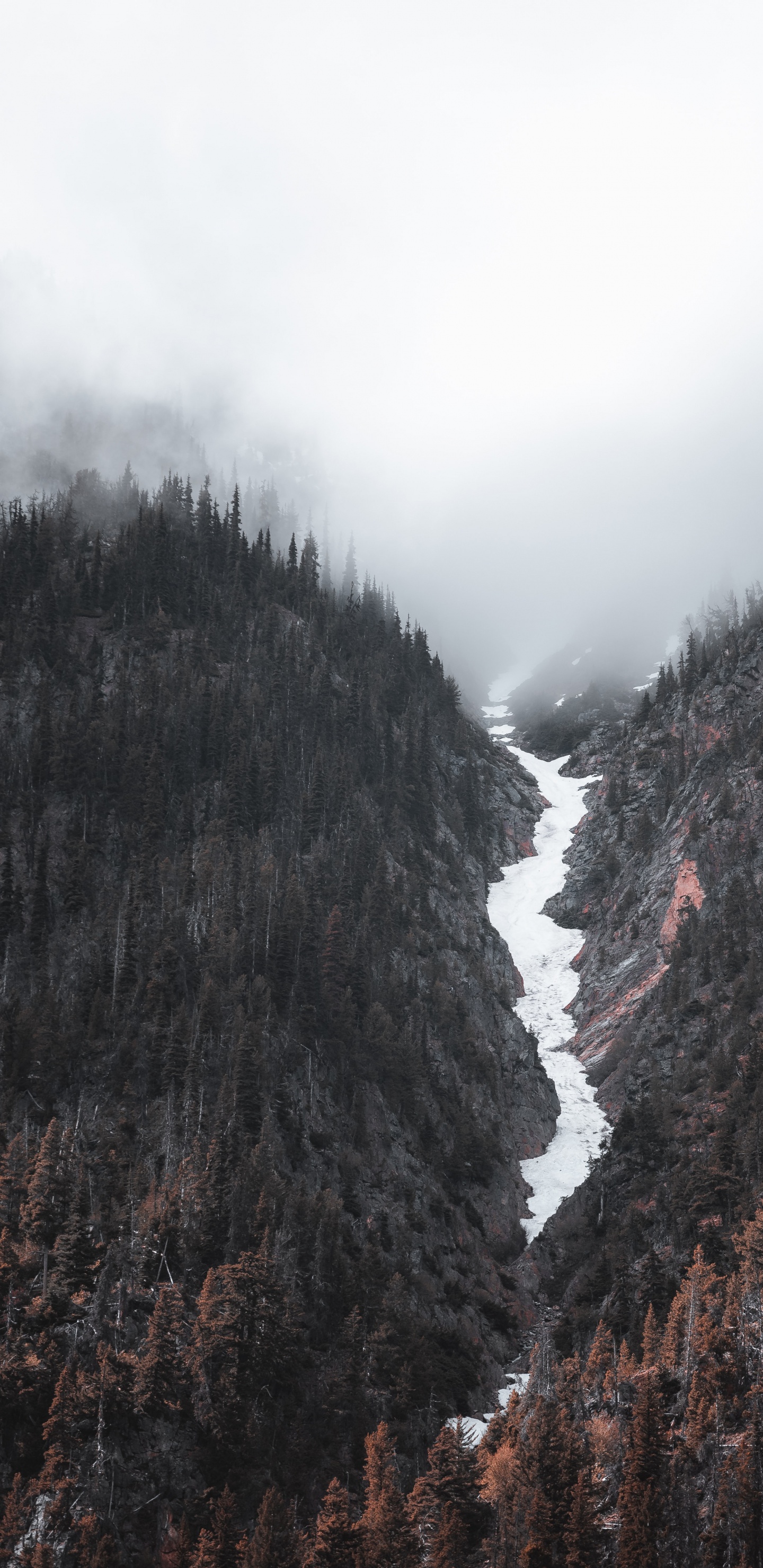 Wilderness, Banff, Cloud, Mountain, Slope. Wallpaper in 1440x2960 Resolution