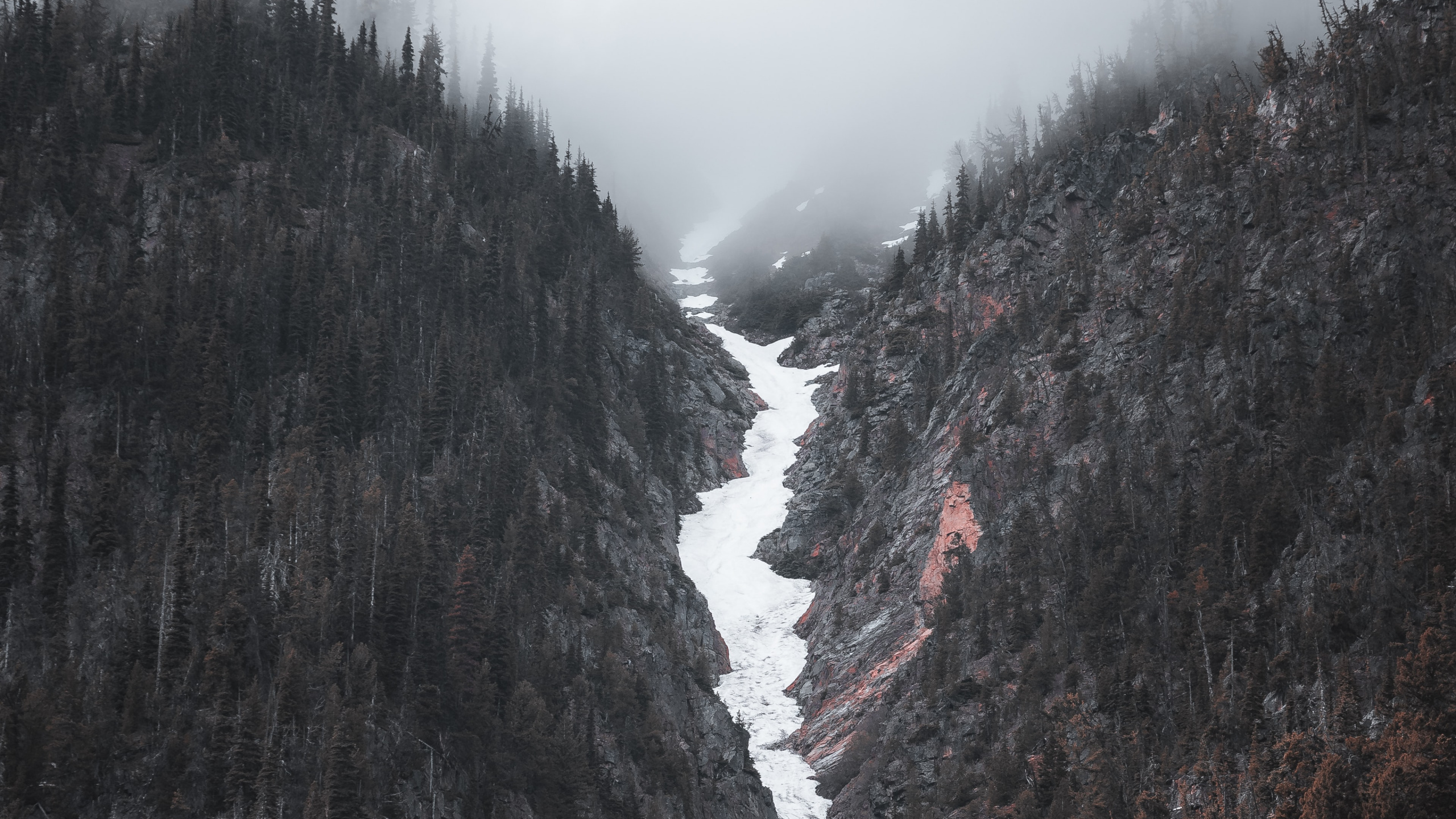 Wilderness, Banff, Cloud, Mountain, Slope. Wallpaper in 2560x1440 Resolution