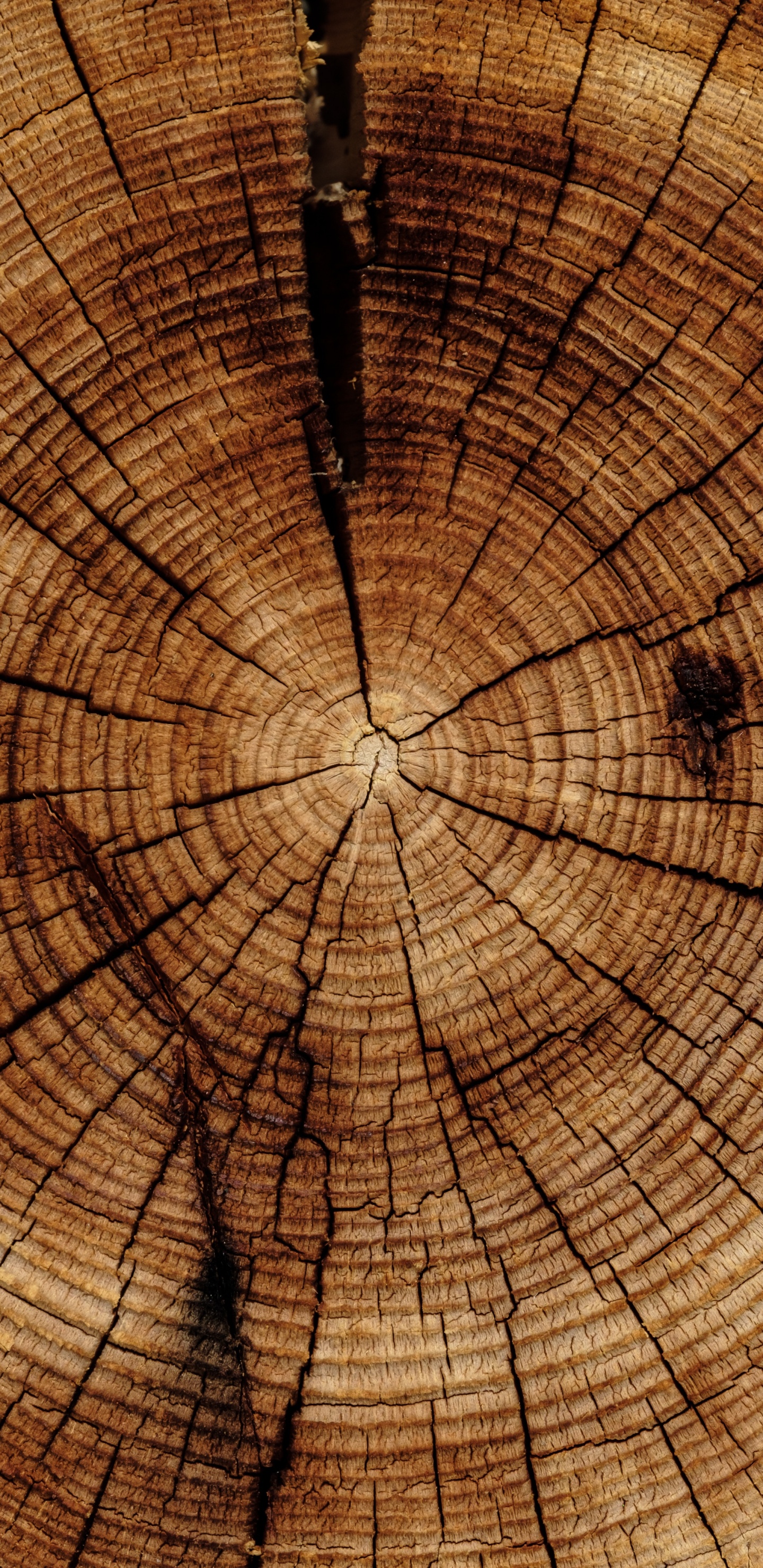 Pintura Abstracta Marrón y Negra. Wallpaper in 1440x2960 Resolution