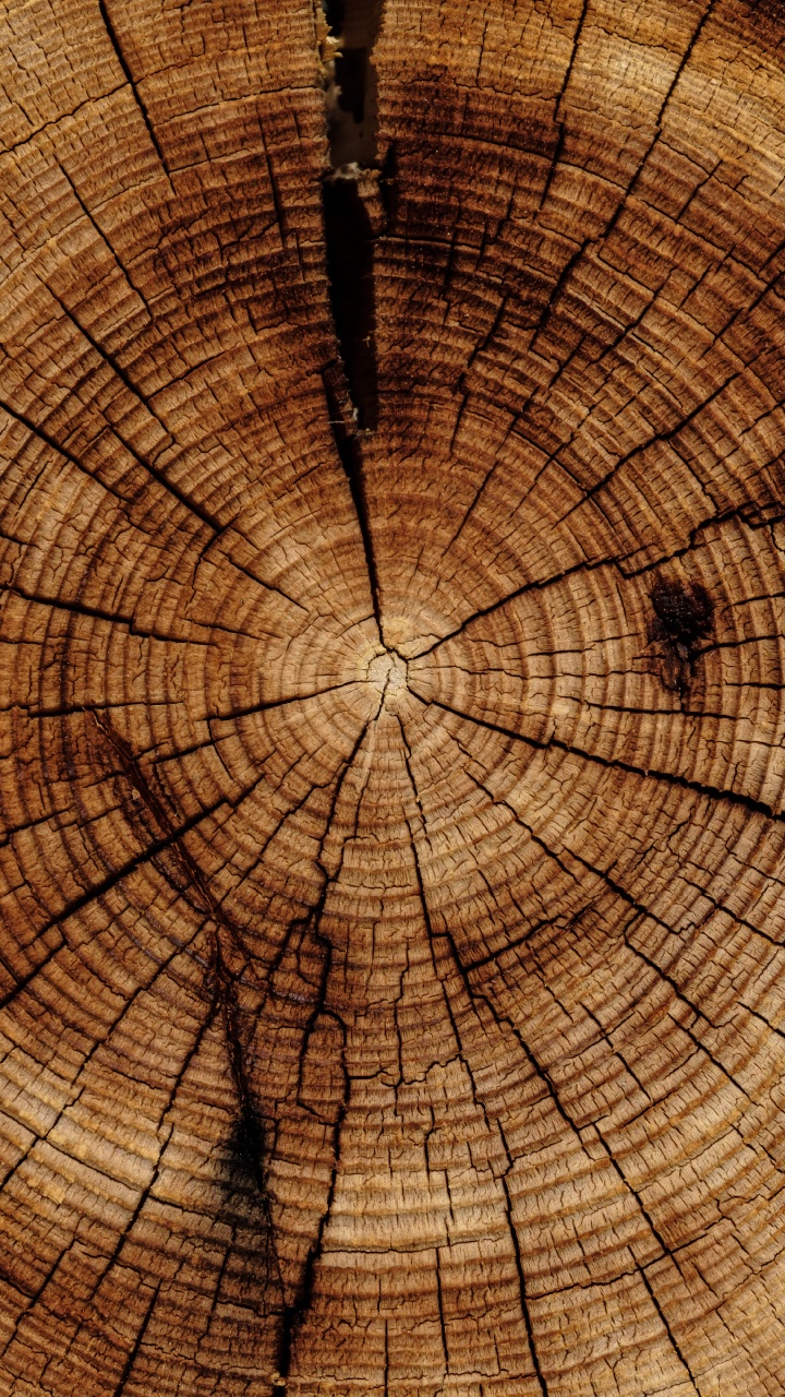 Peinture Abstraite Brune et Noire. Wallpaper in 720x1280 Resolution