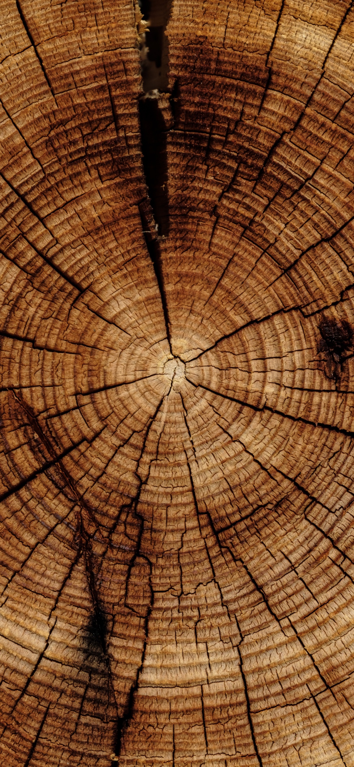 Brown and Black Abstract Painting. Wallpaper in 1125x2436 Resolution