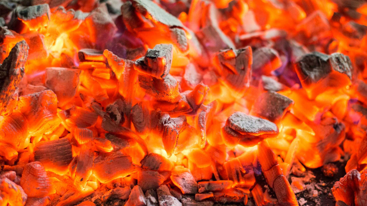 Brown and Black Dried Leaves. Wallpaper in 1280x720 Resolution