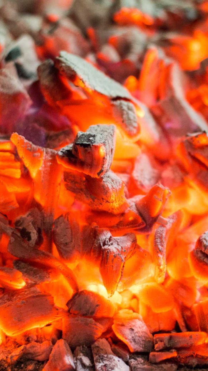 Hojas Secas Marrones y Negras. Wallpaper in 720x1280 Resolution