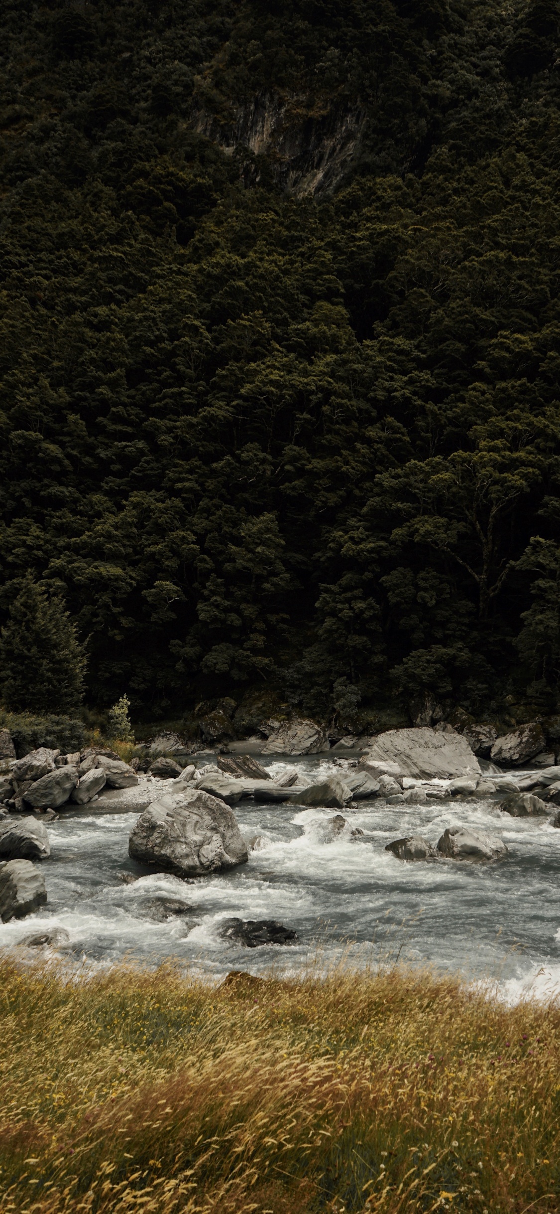 Natur, Wasser, Naturlandschaft, Stream, Fluss. Wallpaper in 1125x2436 Resolution