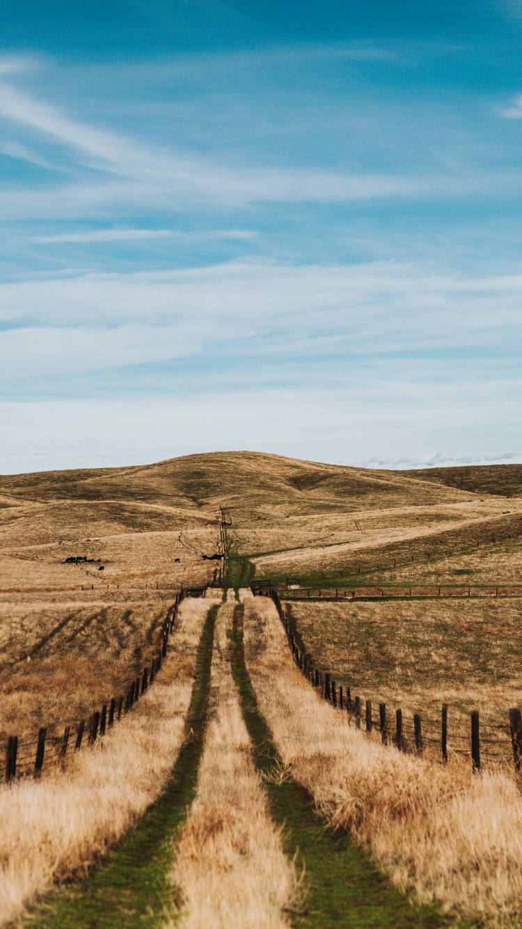 Ländlichen Bereich, Baum, Road, Steppe, Naturlandschaft. Wallpaper in 750x1334 Resolution