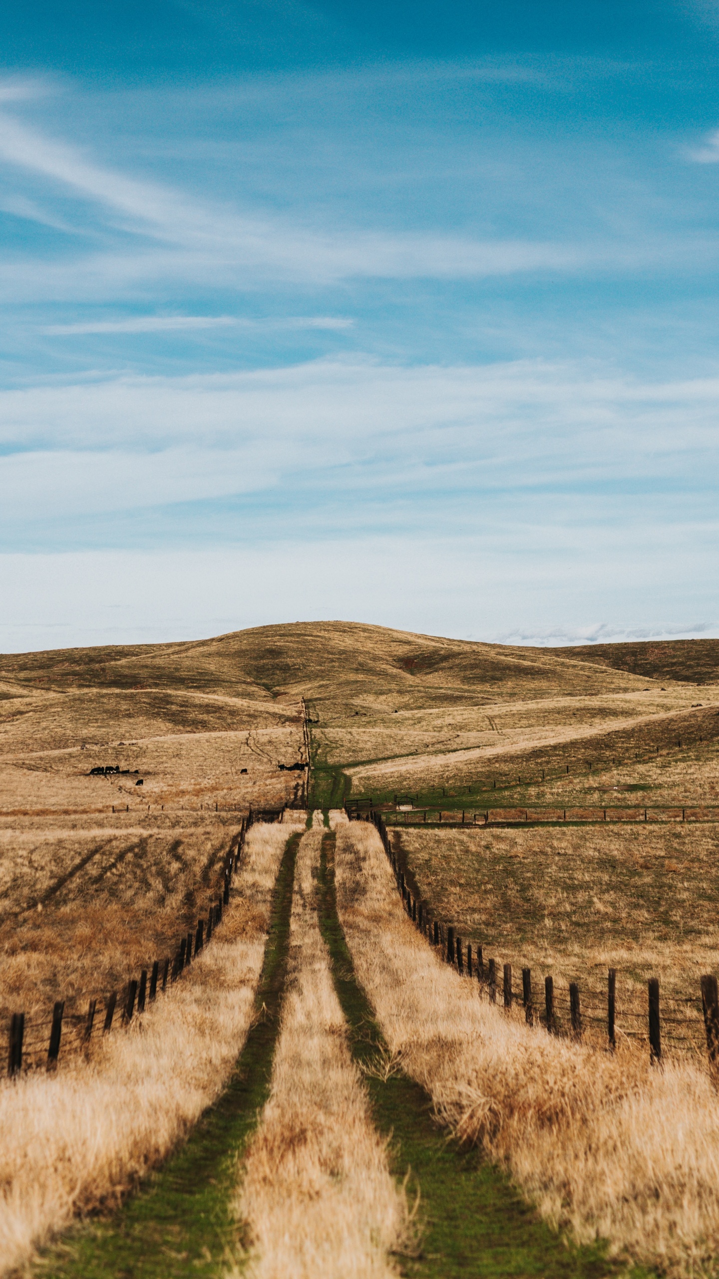 Zone Rurale, Route, Steppe, Paysage Naturel, Prairie. Wallpaper in 1440x2560 Resolution