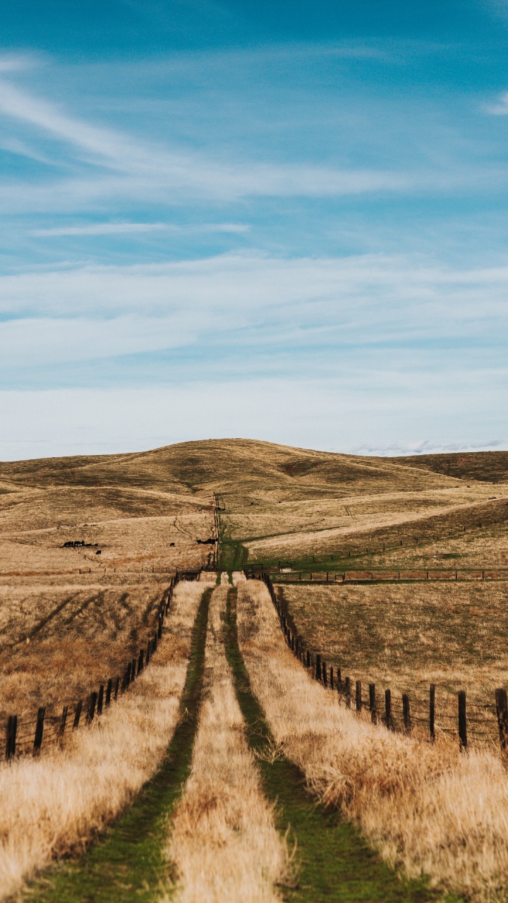 Zone Rurale, Route, Steppe, Paysage Naturel, Prairie. Wallpaper in 720x1280 Resolution