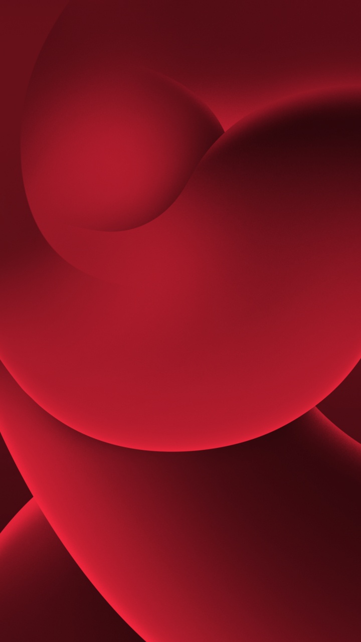 Apples, Petal, Pink, Magenta, Tints and Shades. Wallpaper in 720x1280 Resolution