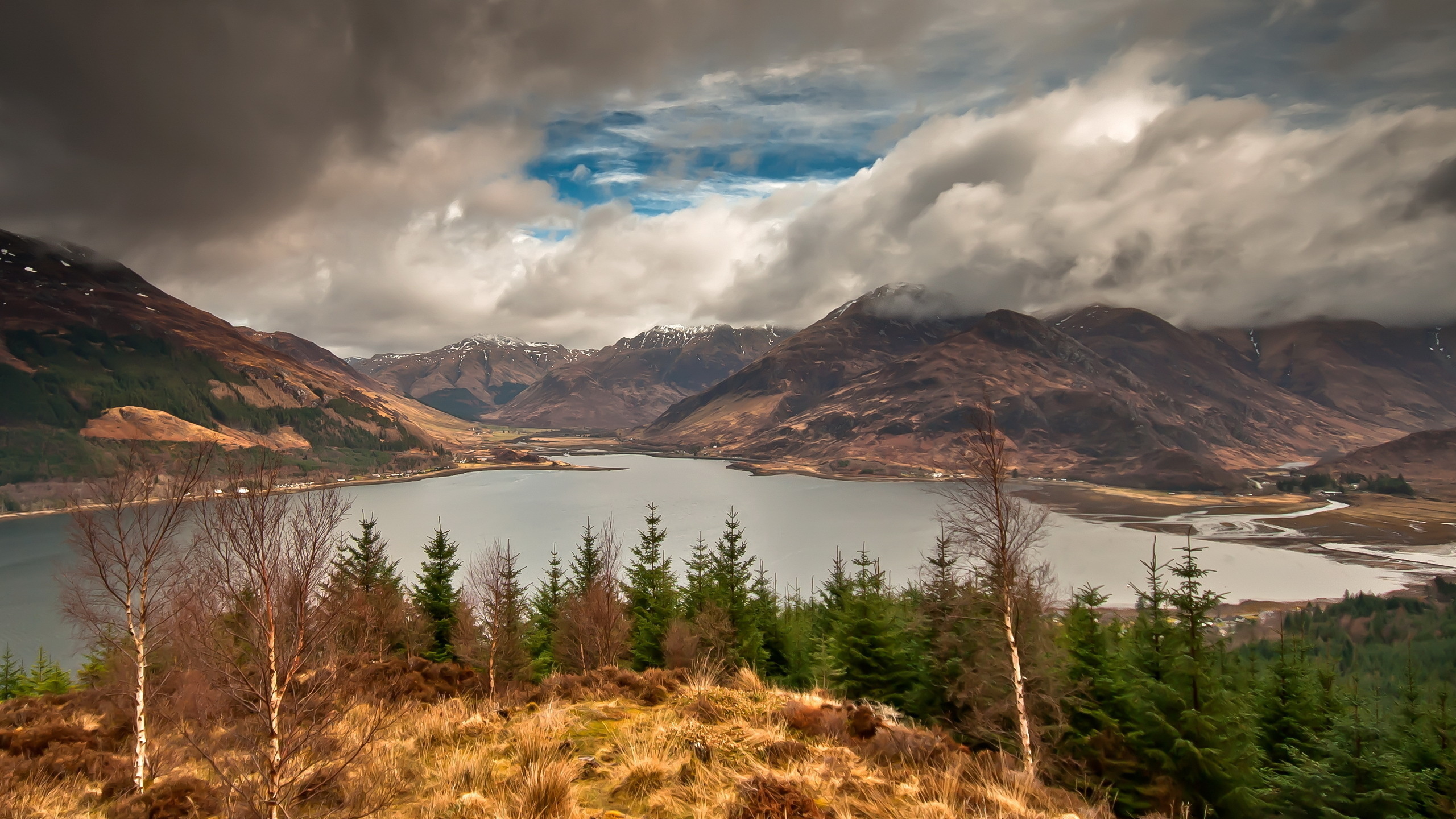 Green Trees Near Lake Under Cloudy Sky During Daytime. Wallpaper in 2560x1440 Resolution