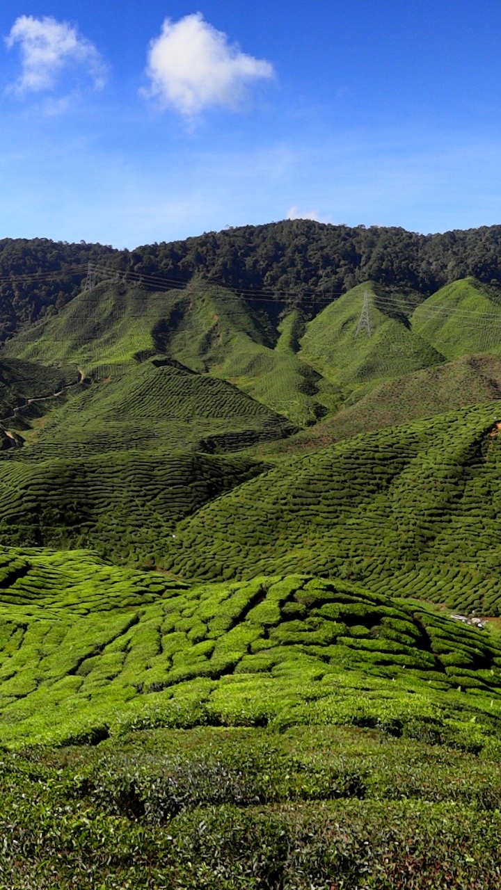 Green Mountain Under Blue Sky During Daytime. Wallpaper in 720x1280 Resolution