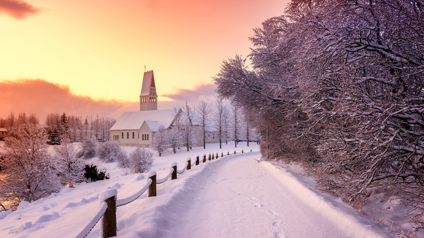 Snow Covered Road Near Trees and Building During Daytime. Wallpaper in 1366x768 Resolution