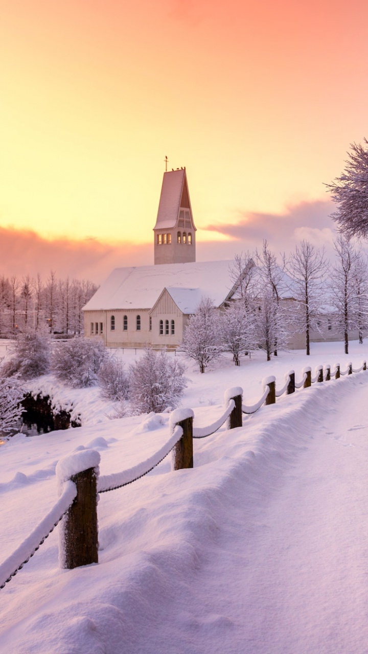 Snow Covered Road Near Trees and Building During Daytime. Wallpaper in 720x1280 Resolution