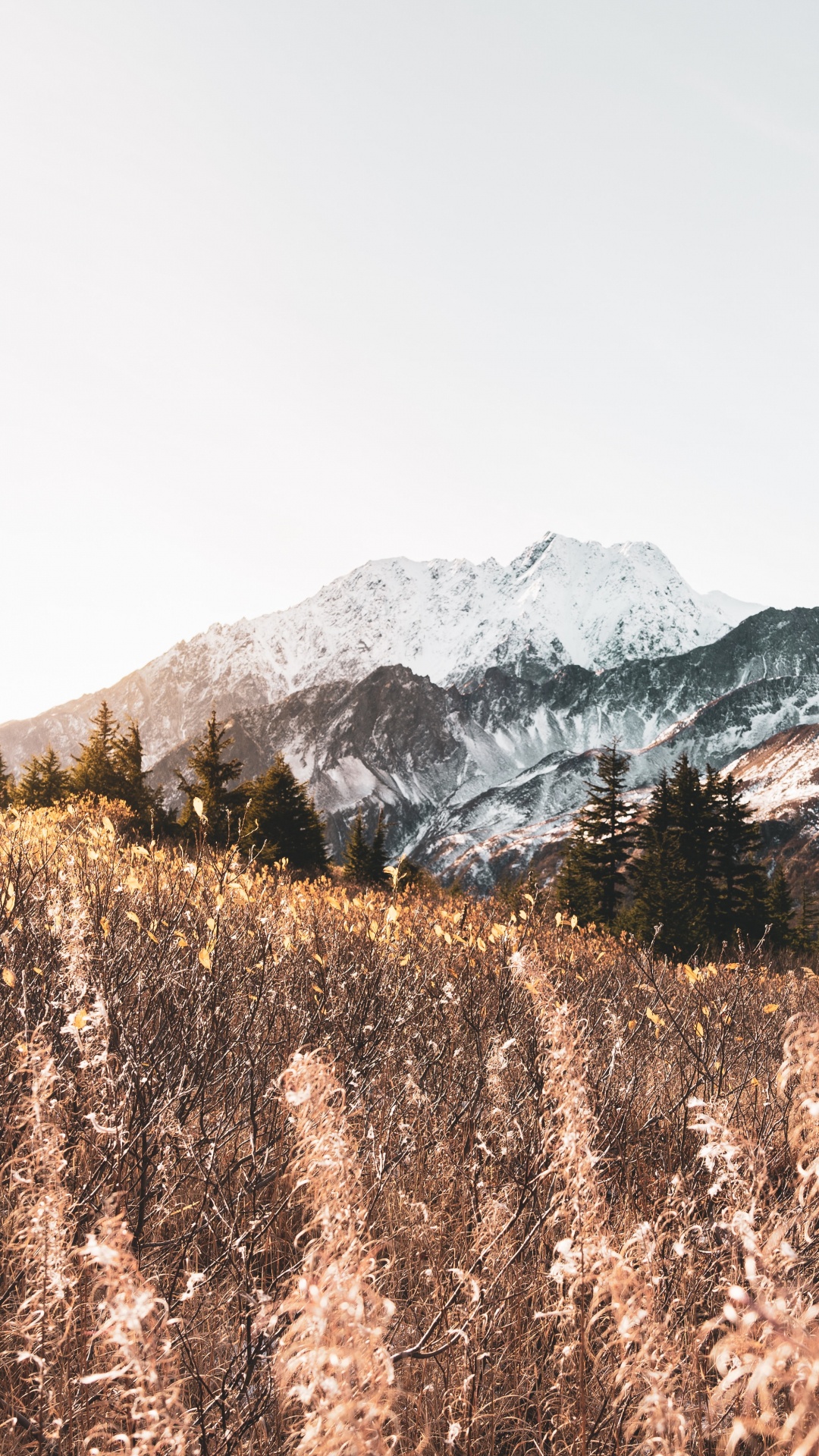 Mountain, Mountainous Landforms, M-tree, Highland, Snow. Wallpaper in 1080x1920 Resolution