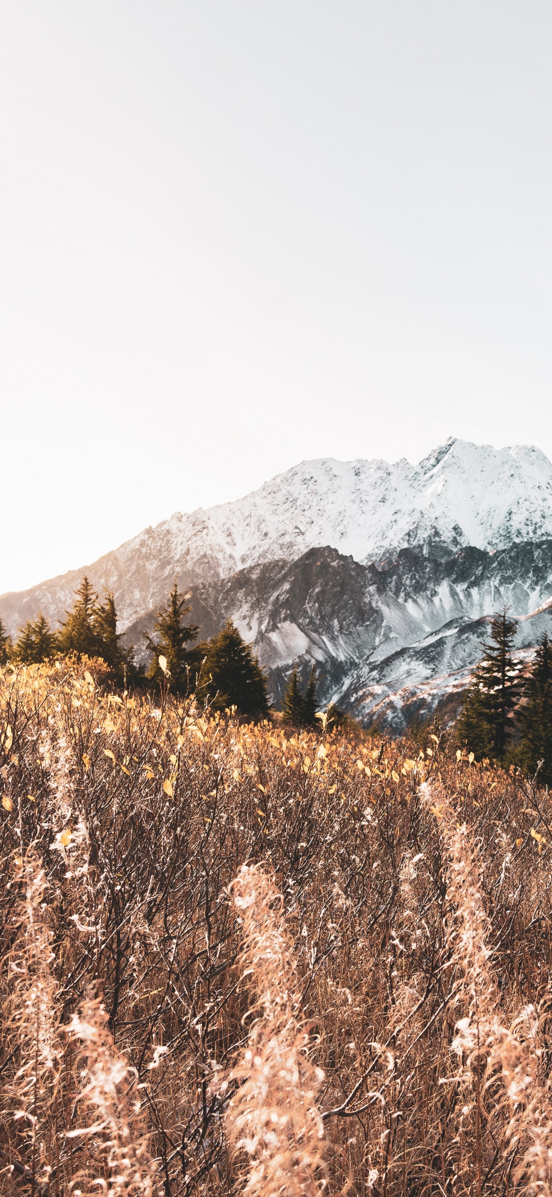Mountain, Mountainous Landforms, M-tree, Highland, Snow. Wallpaper in 1125x2436 Resolution
