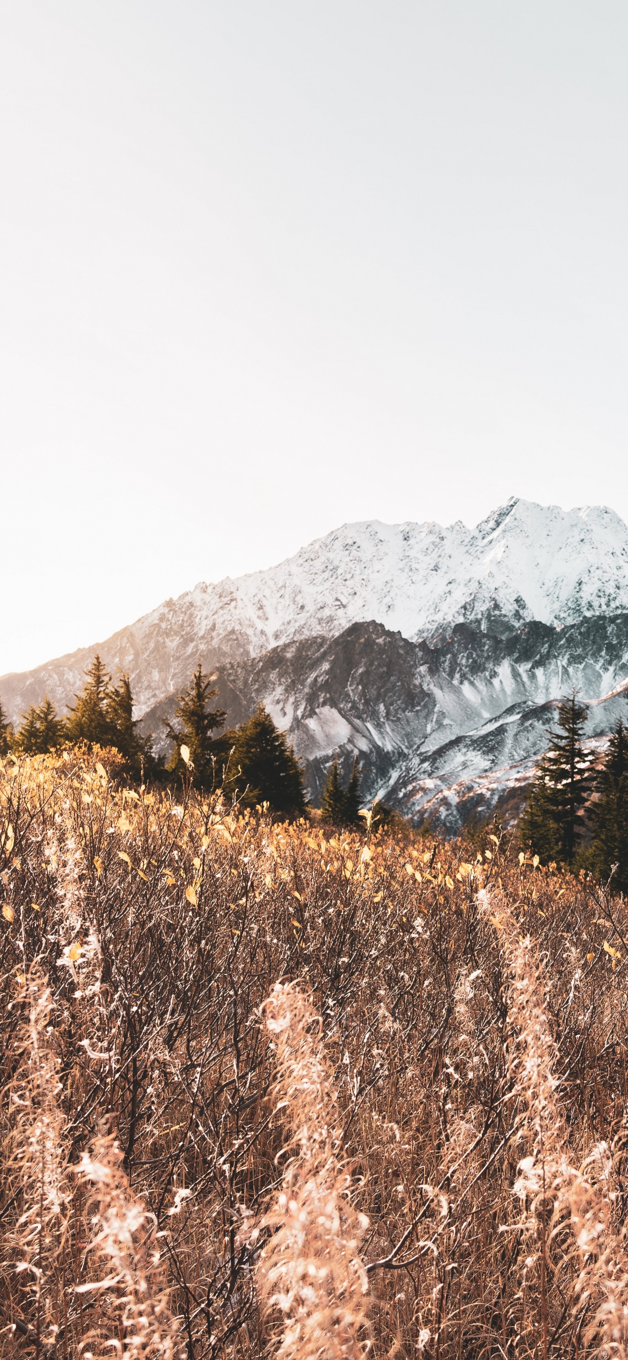 Mountain, Mountainous Landforms, M-tree, Highland, Snow. Wallpaper in 1242x2688 Resolution