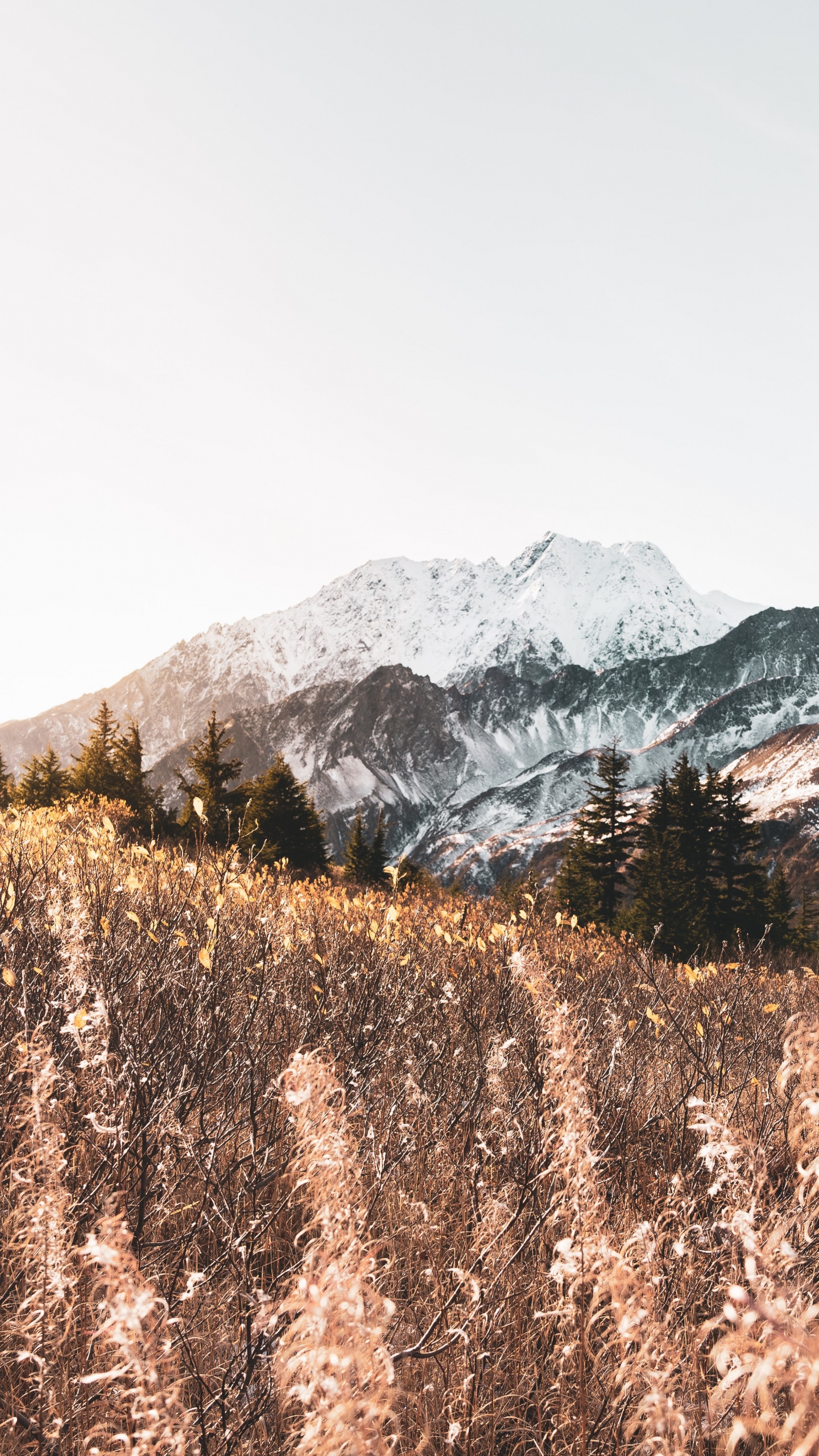 Mountain, Mountainous Landforms, M-tree, Highland, Snow. Wallpaper in 1440x2560 Resolution