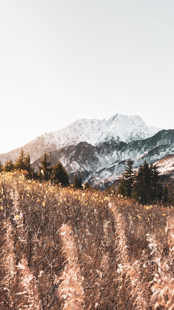 Mountain, Mountainous Landforms, M-tree, Highland, Snow. Wallpaper in 720x1280 Resolution