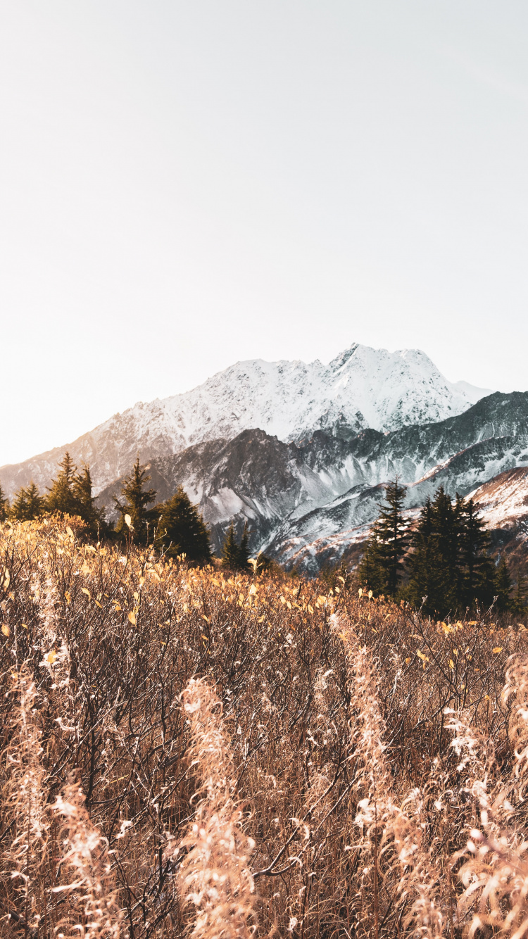 Mountain, Mountainous Landforms, M-tree, Highland, Snow. Wallpaper in 750x1334 Resolution