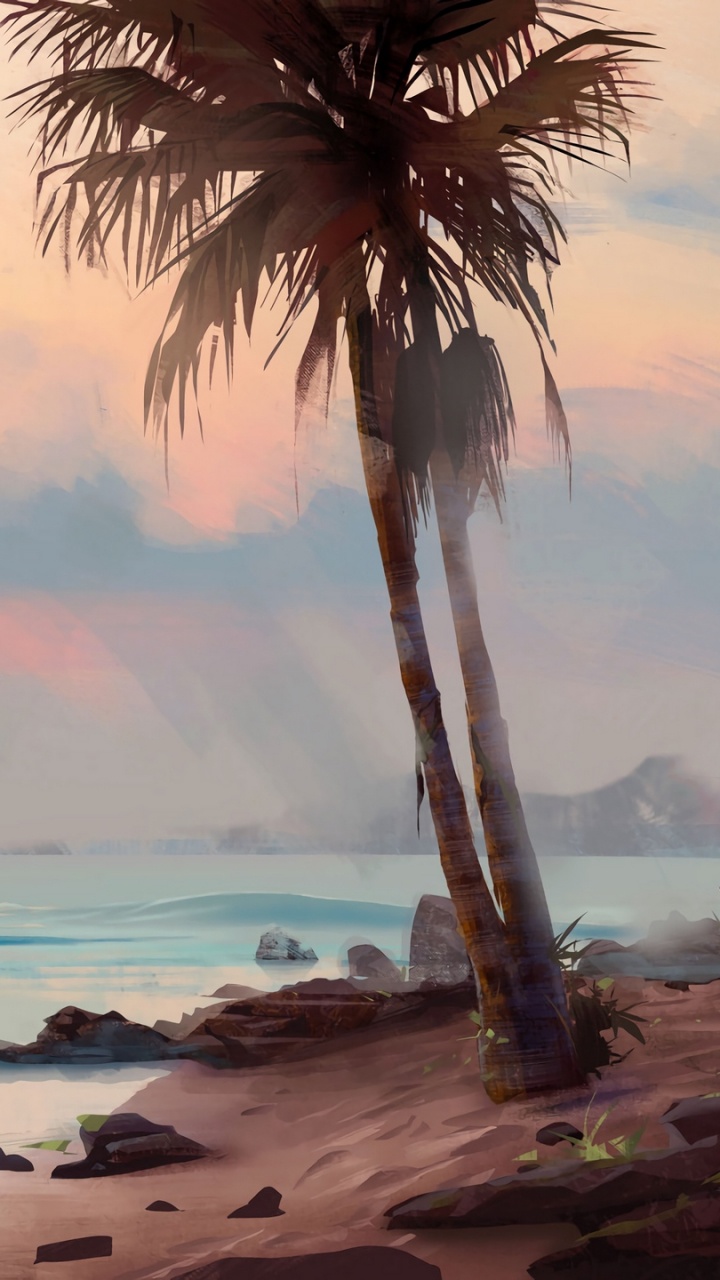 Palm Tree on Beach Shore During Sunset. Wallpaper in 720x1280 Resolution