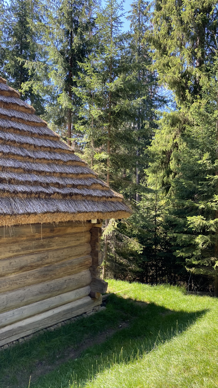 Blockhaus, Immobilie, Biome, Holz, Dach. Wallpaper in 750x1334 Resolution