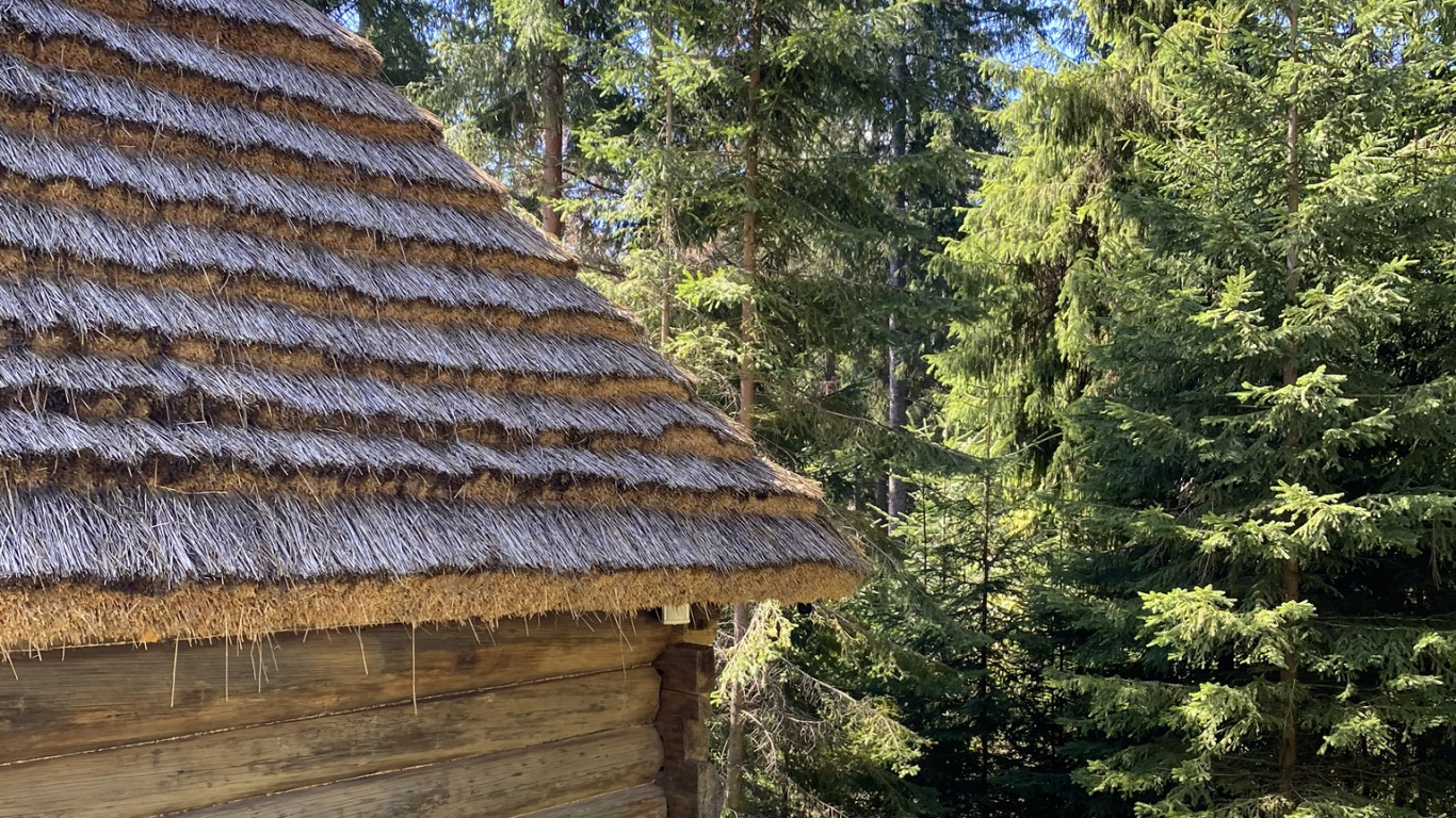 Log Cabin, Immobilier, Biome, Toit, Plantes Ligneuses. Wallpaper in 1366x768 Resolution