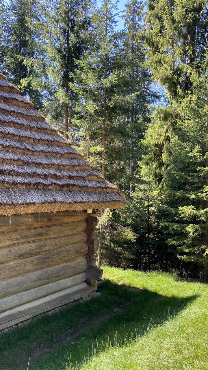 Log Cabin, Real Estate, Biome, Wood, Roof. Wallpaper in 720x1280 Resolution