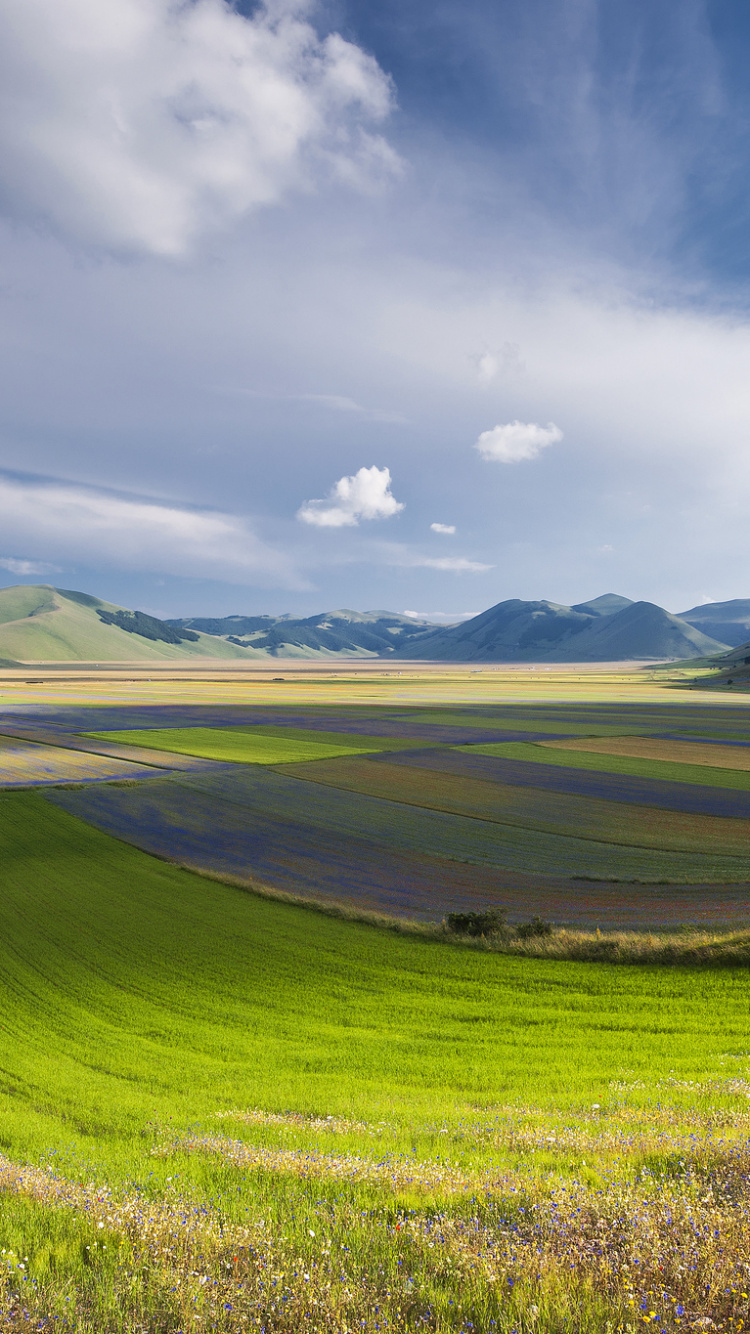 Green Grass Field Under Blue Sky During Daytime. Wallpaper in 750x1334 Resolution