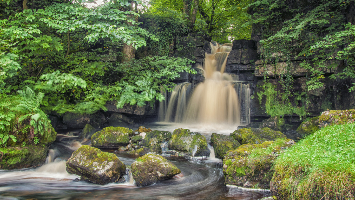 Naturaleza, Cascada, Los Bosques de Viejo Crecimiento, Agua, Los Recursos de Agua. Wallpaper in 1366x768 Resolution