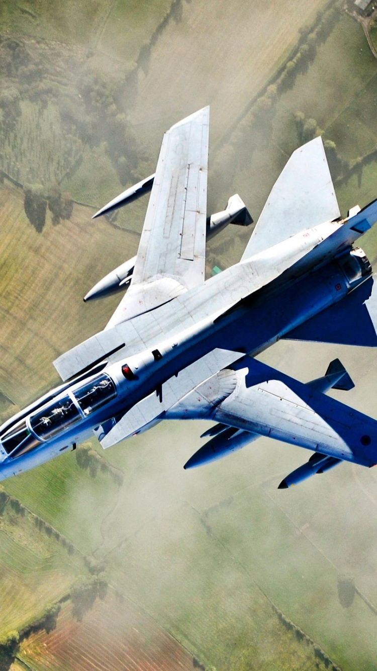 White and Blue Jet Plane Flying Over Green Grass Field During Daytime. Wallpaper in 750x1334 Resolution