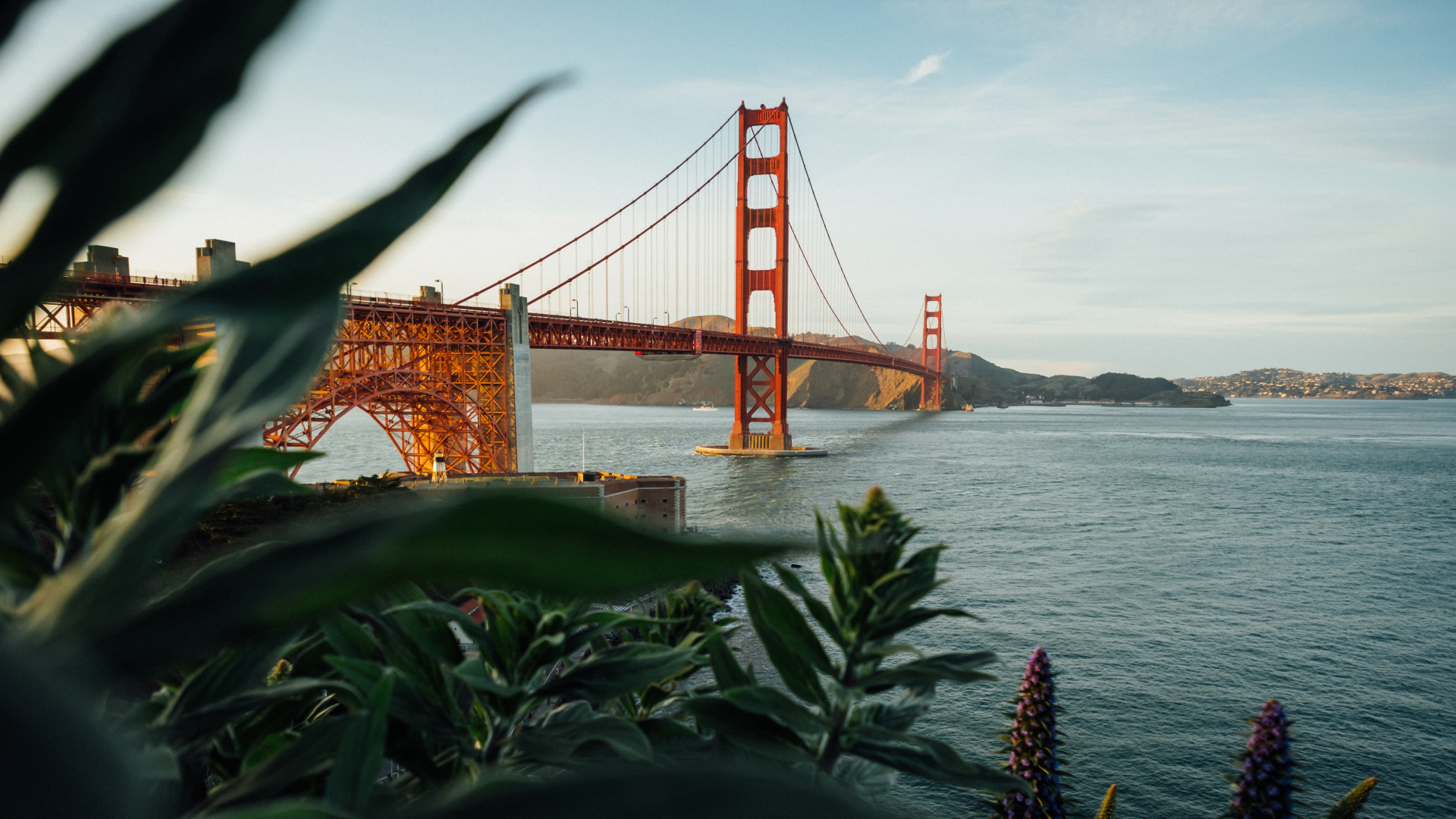 Golden Gate Bridge - Crissy Field, Muir Woods National: Đừng bỏ lỡ cảnh tượng tuyệt đẹp về cây cầu vàng quen thuộc trong ánh bình minh. Tại Crissy Field và Khu rừng Muir, bạn sẽ được trải nghiệm nhịp sống trong lành và bình yên của thiên nhiên. Hãy đến và tìm hiểu tại sao Golden Gate Bridge - Crissy Field, Muir Woods National luôn là điểm đến ưa thích của du khách và người dân địa phương.