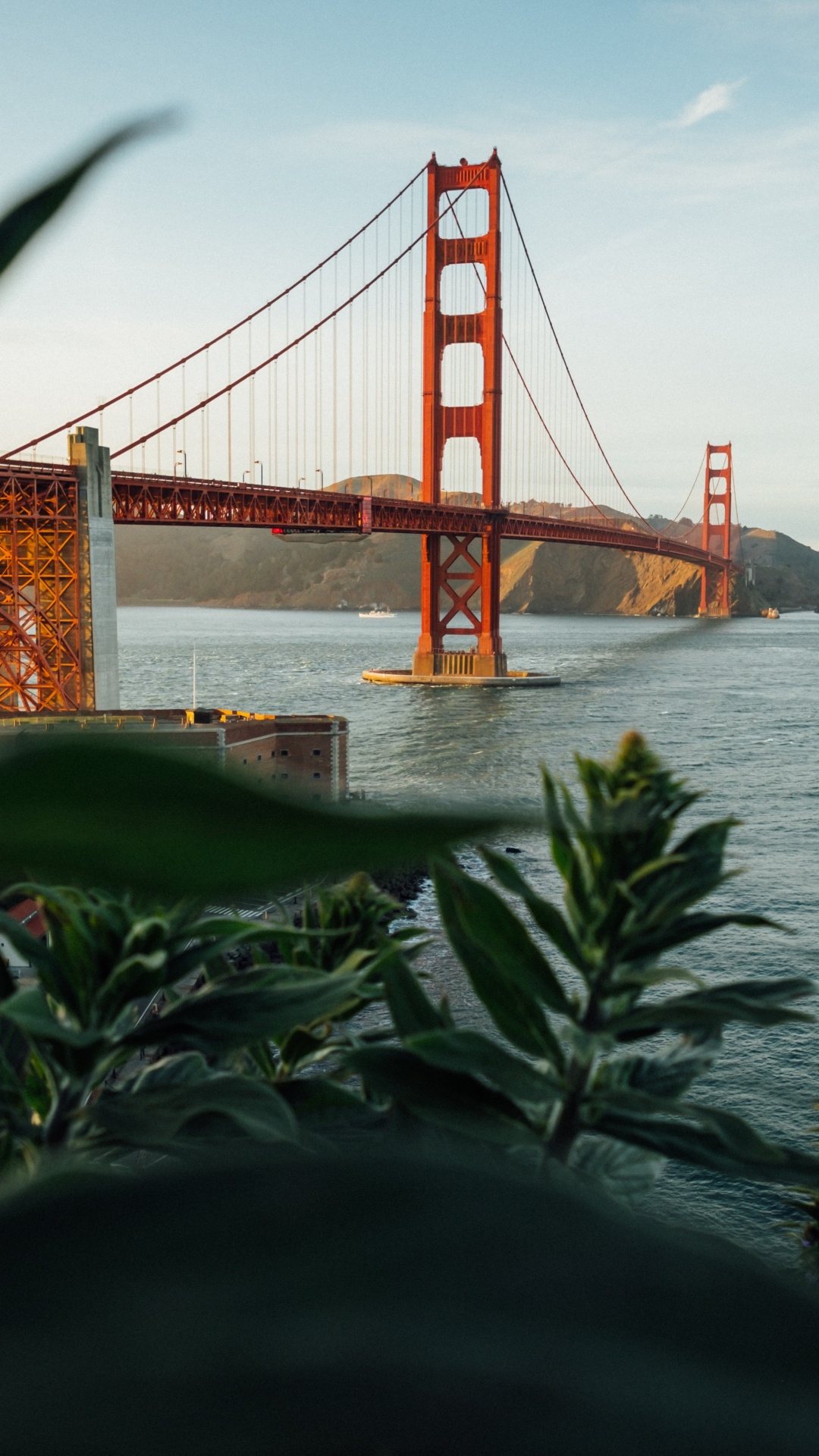 Golden Gate Bridge, Knuspriges Feld, Muir-Woods-Nationaldenkmal, Golden Gate Park, Erholung. Wallpaper in 1080x1920 Resolution