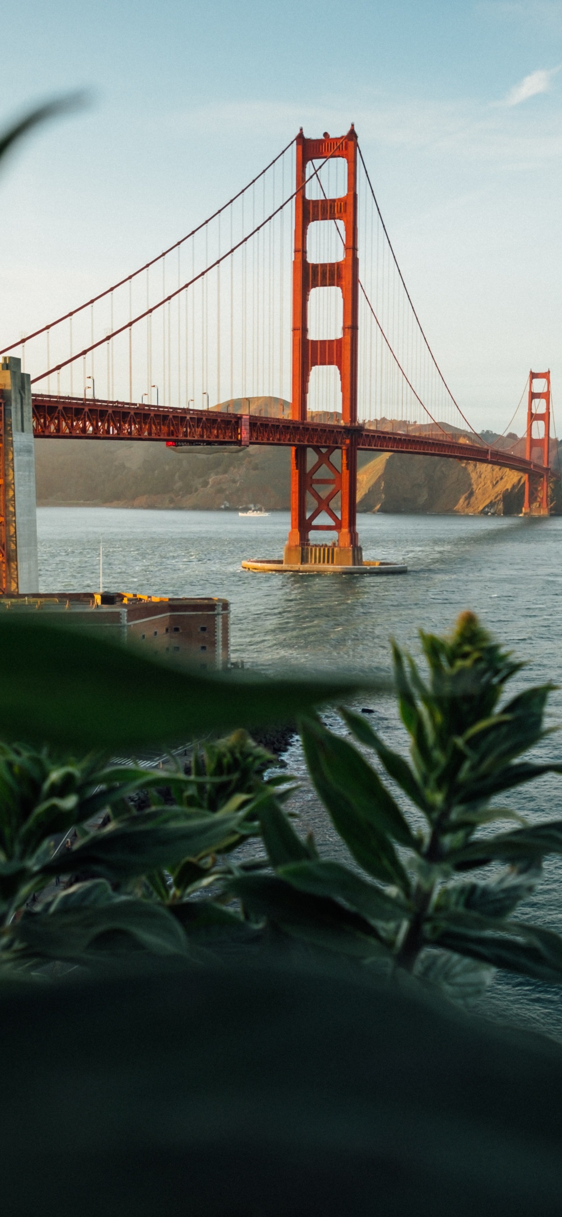 Golden Gate Bridge, Knuspriges Feld, Muir-Woods-Nationaldenkmal, Golden Gate Park, Erholung. Wallpaper in 1125x2436 Resolution