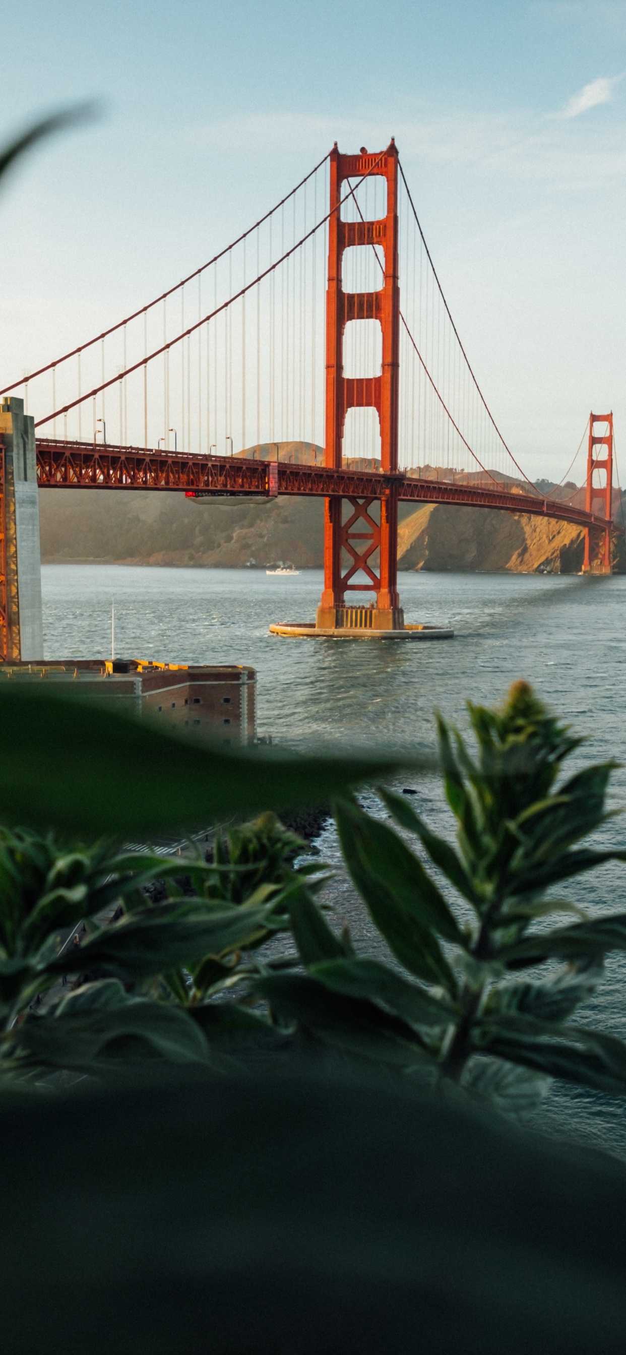 Golden Gate Bridge, Knuspriges Feld, Muir-Woods-Nationaldenkmal, Golden Gate Park, Erholung. Wallpaper in 1242x2688 Resolution