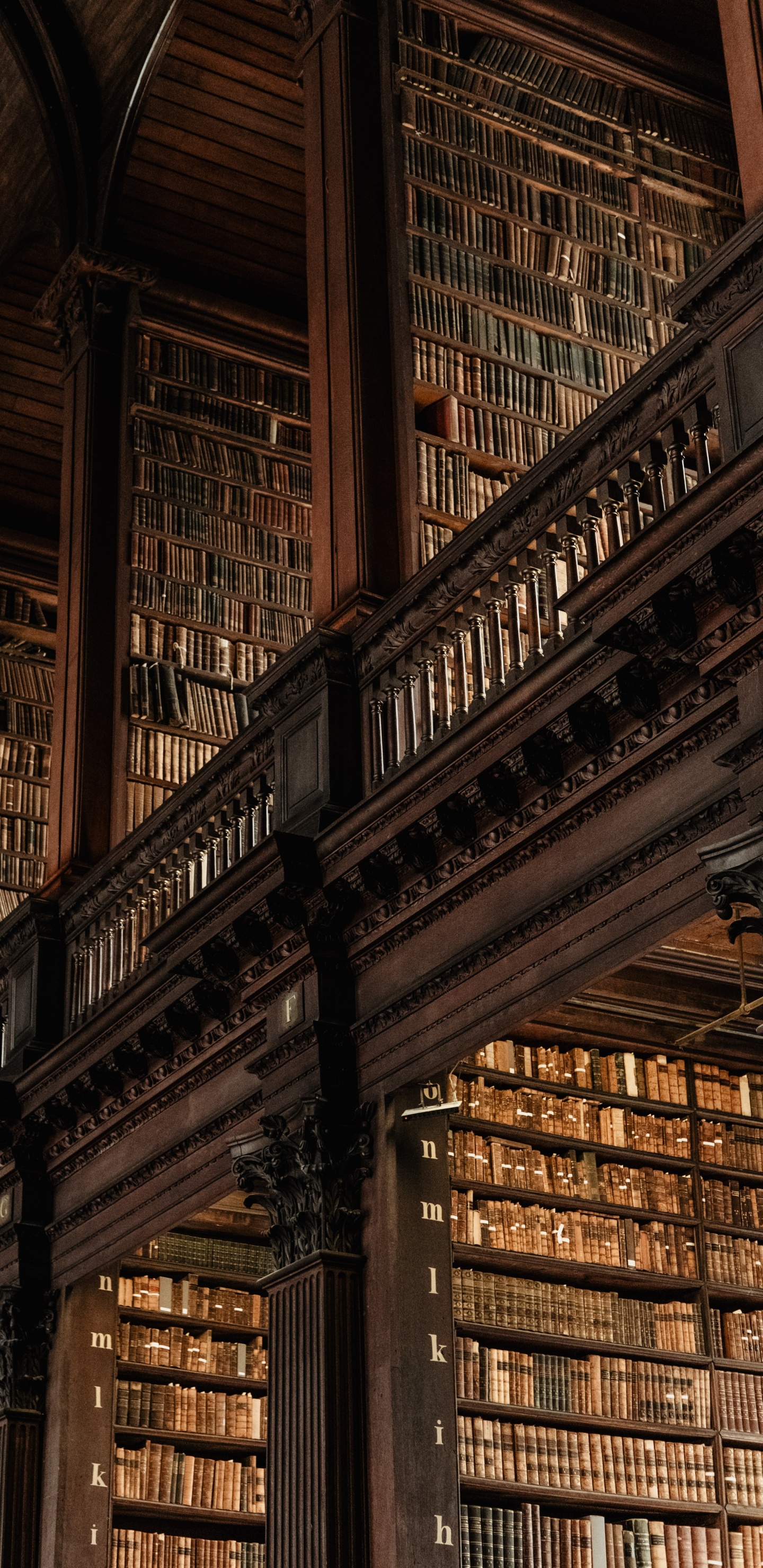 哈利*波特, 棕色, 木, 对称, 正面 壁纸 1440x2960 允许