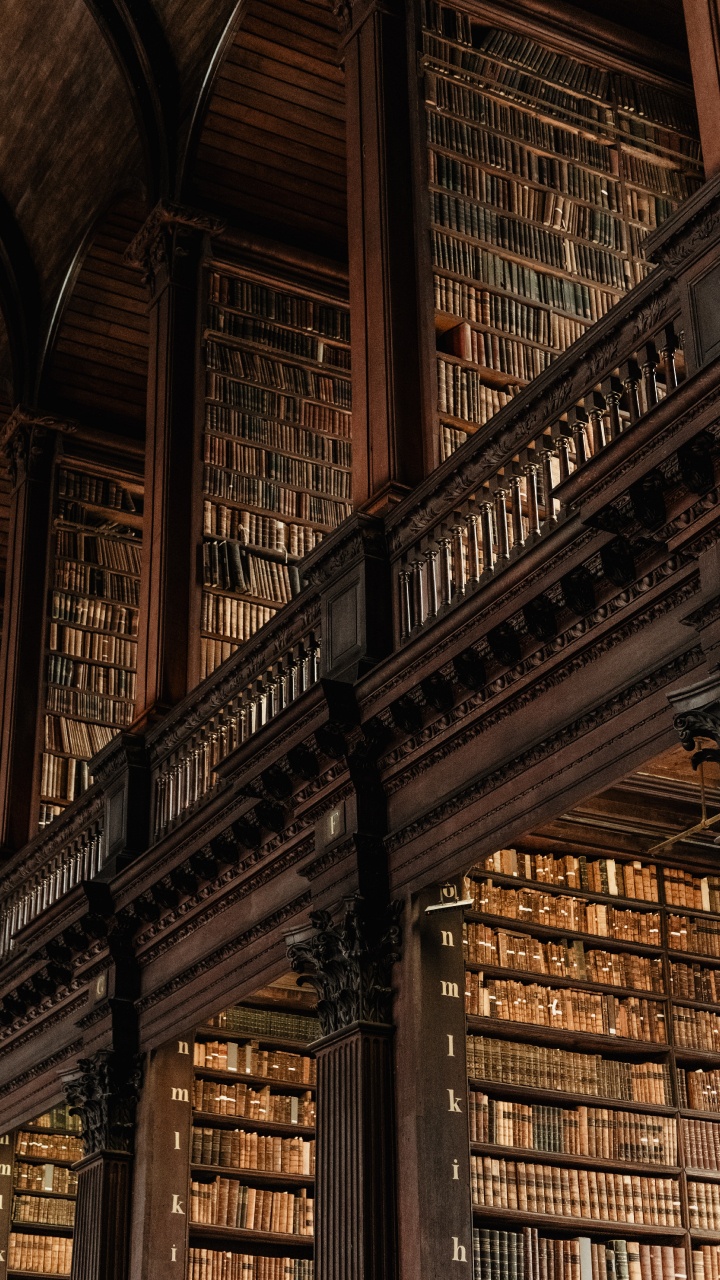 哈利*波特, 棕色, 木, 对称, 正面 壁纸 720x1280 允许