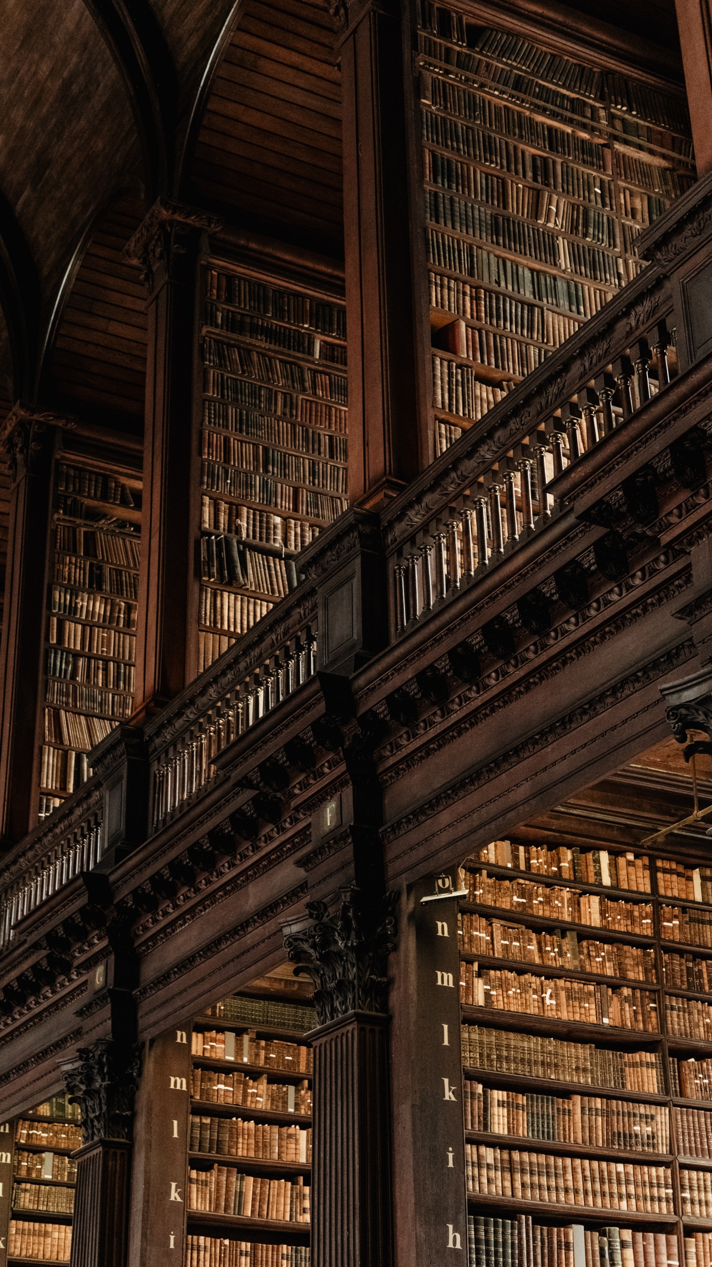 Los Cuentos de Beedle el Bardo, Harry Potter, Morena, Madera, Fila. Wallpaper in 1440x2560 Resolution