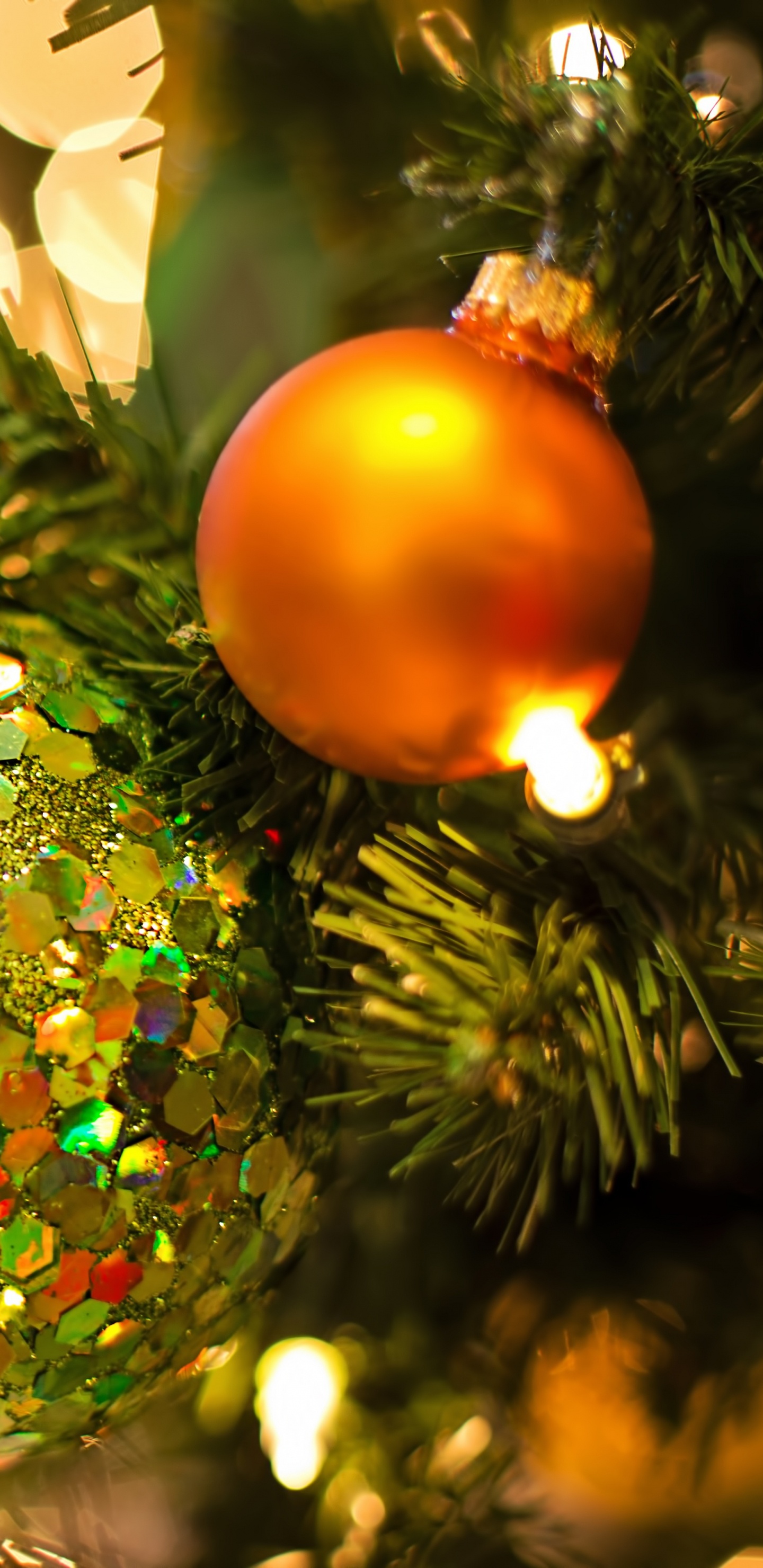 Christmas Day, Christmas Lights, Christmas Ornament, Christmas, Tree. Wallpaper in 1440x2960 Resolution