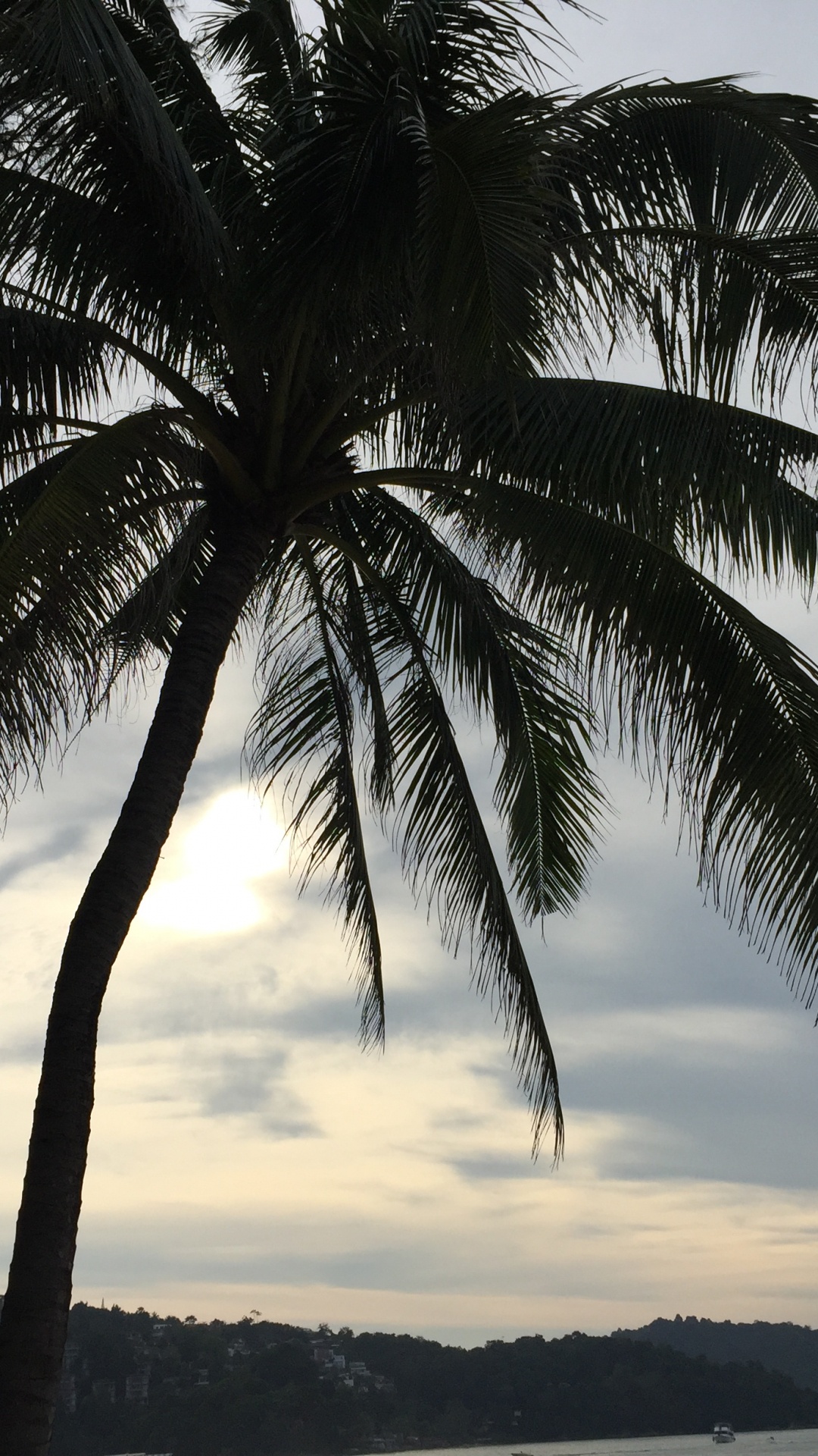 Water, Coconut, Palm Trees, Cloud, Tree. Wallpaper in 1080x1920 Resolution
