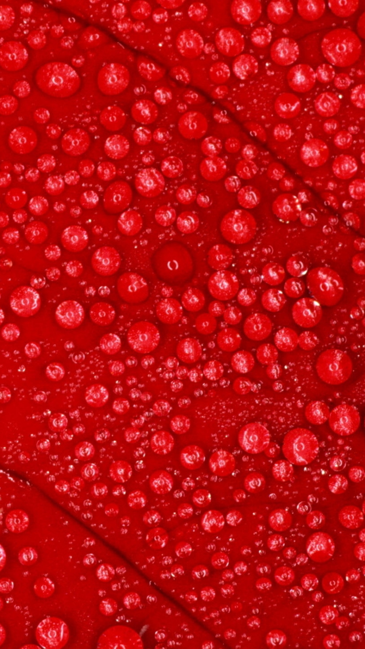 Textile Floral Rouge et Blanc. Wallpaper in 750x1334 Resolution