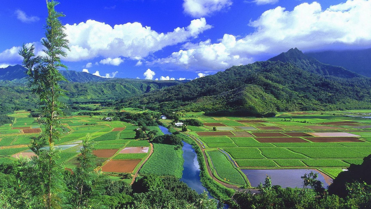 Green Grass Field Under Blue Sky During Daytime. Wallpaper in 1280x720 Resolution